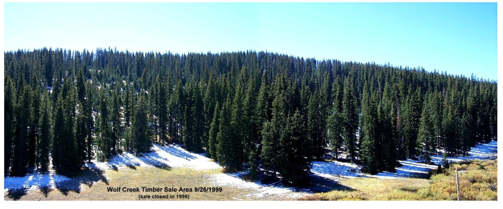 Forests 05 00021 g003 1024