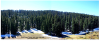Forests 05 00021 g003 200