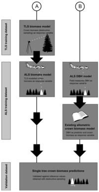 Forests 05 00384 g003 200