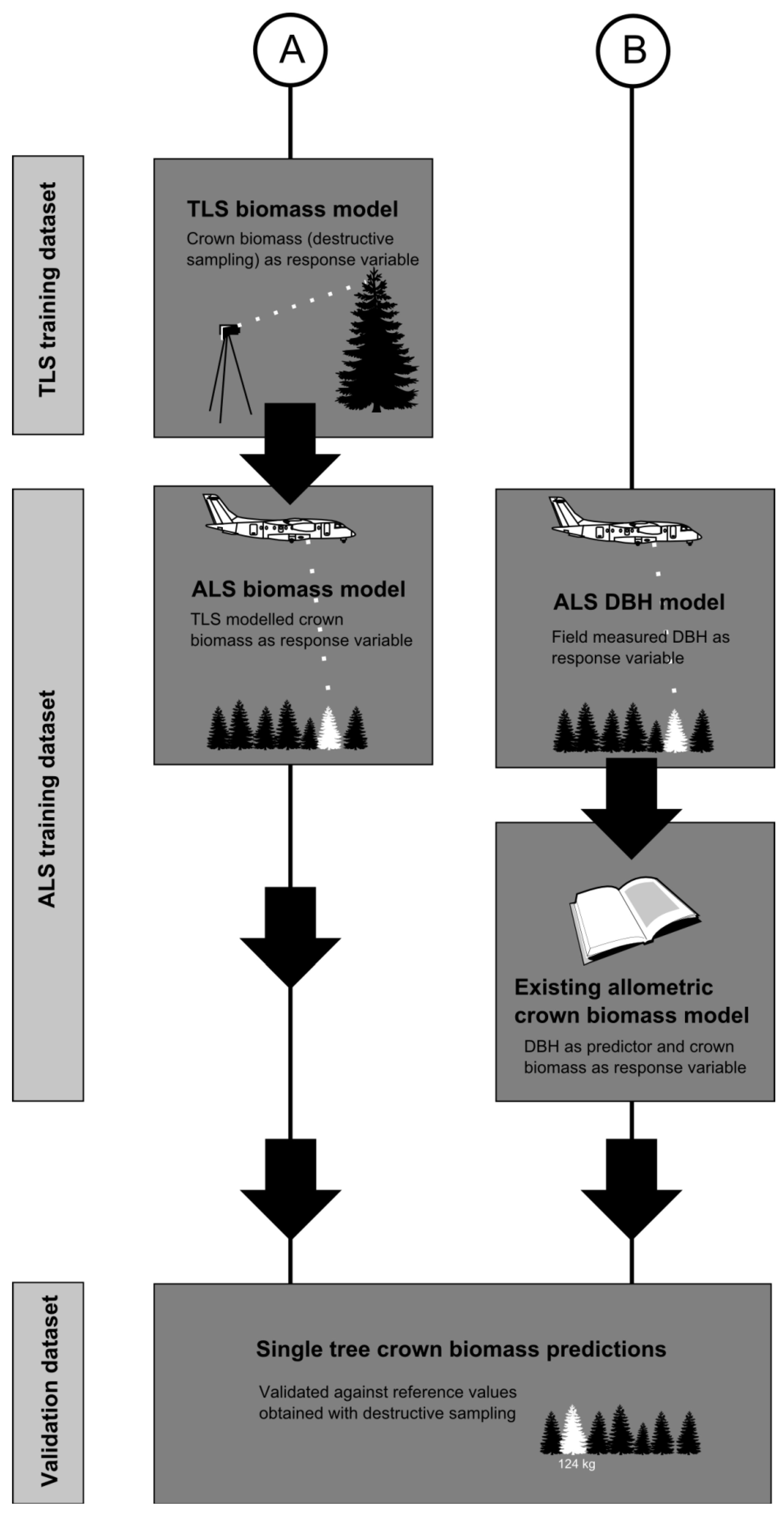 Forests 05 00384 g003