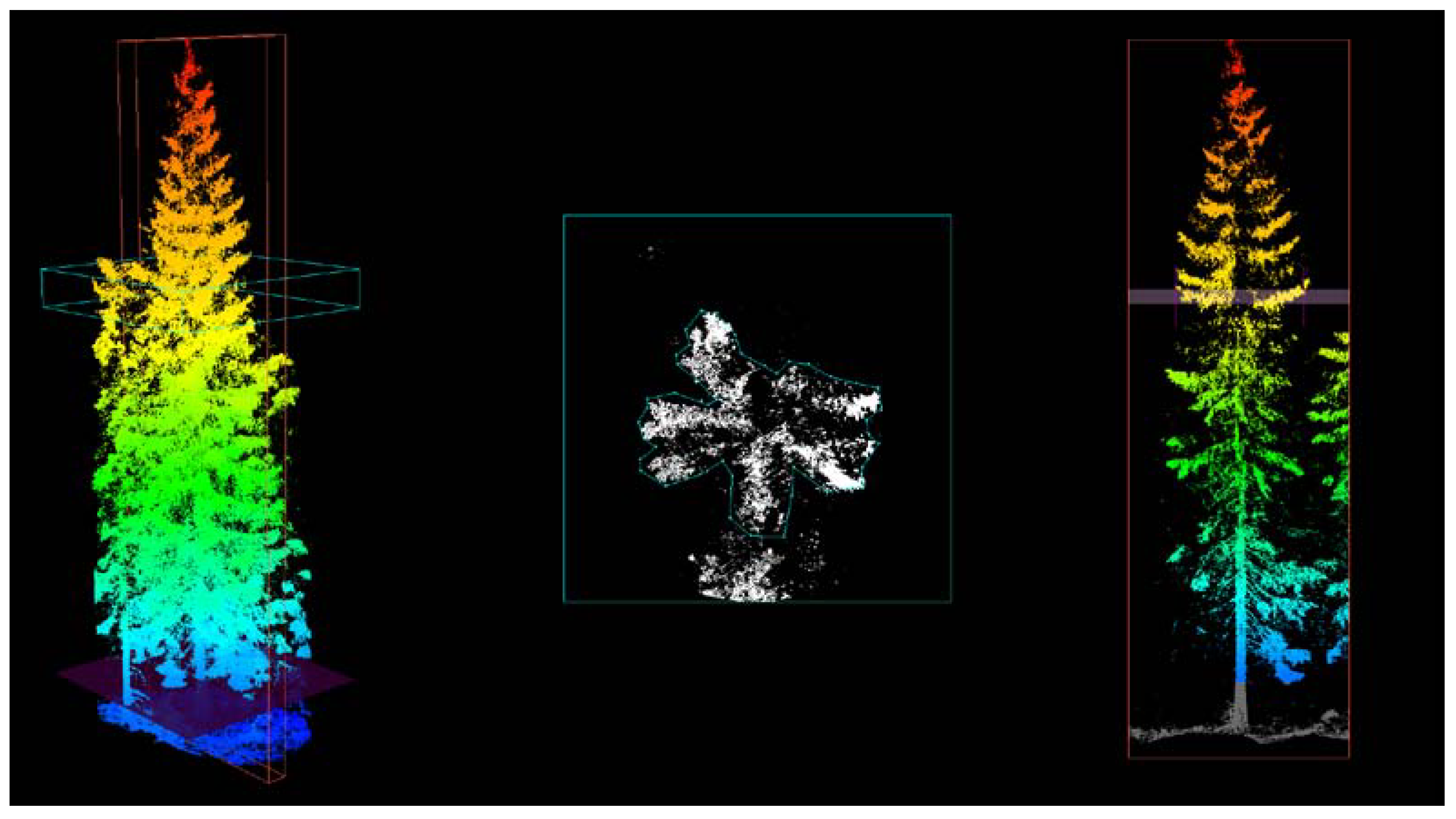 Forests 05 00384 g005