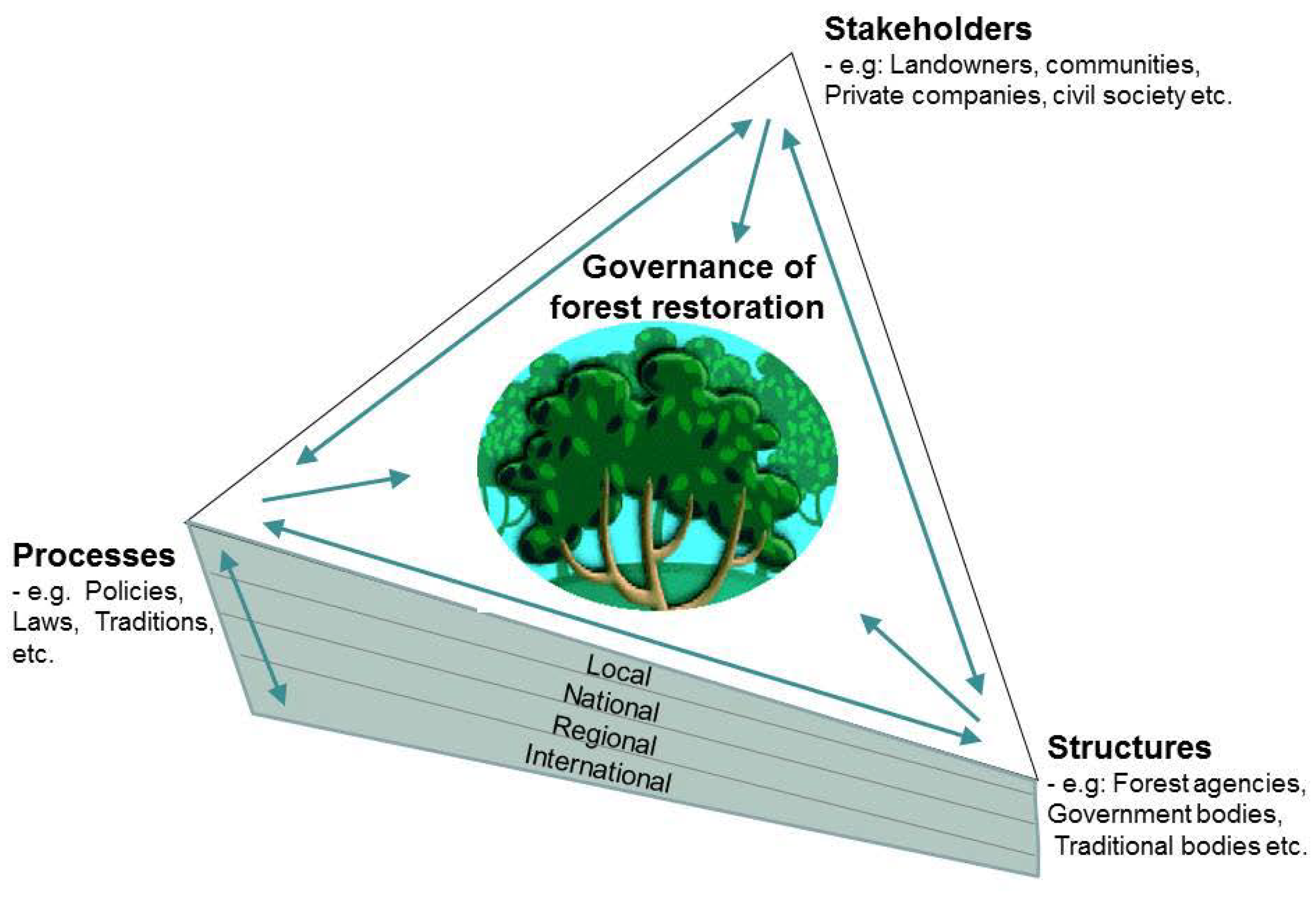 Forests 05 00763 g001