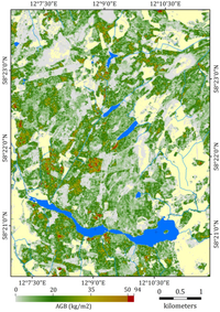 Forests 05 00992 g008 200
