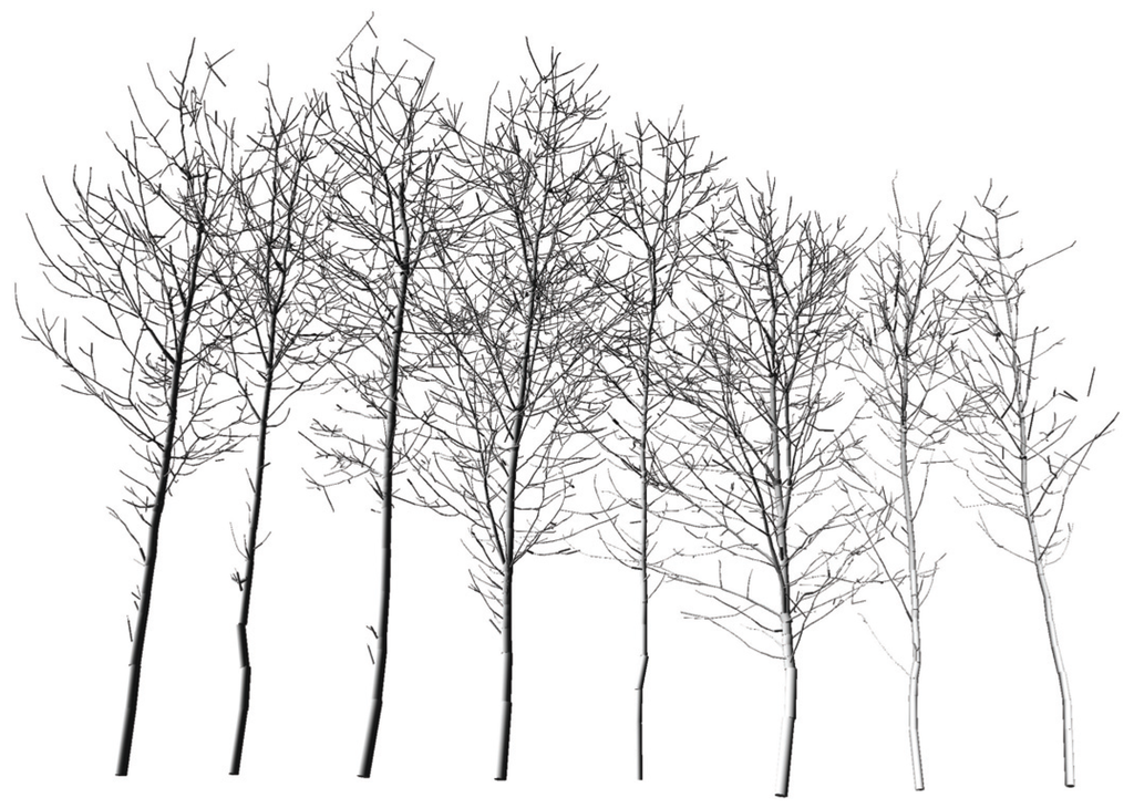 Forests 05 01069 g003 1024