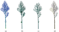 Forests 05 01069 g005 200