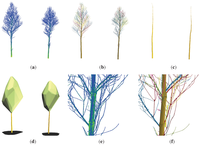 Forests 05 01069 g009 200