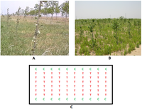 Forests 05 01106 g002 200