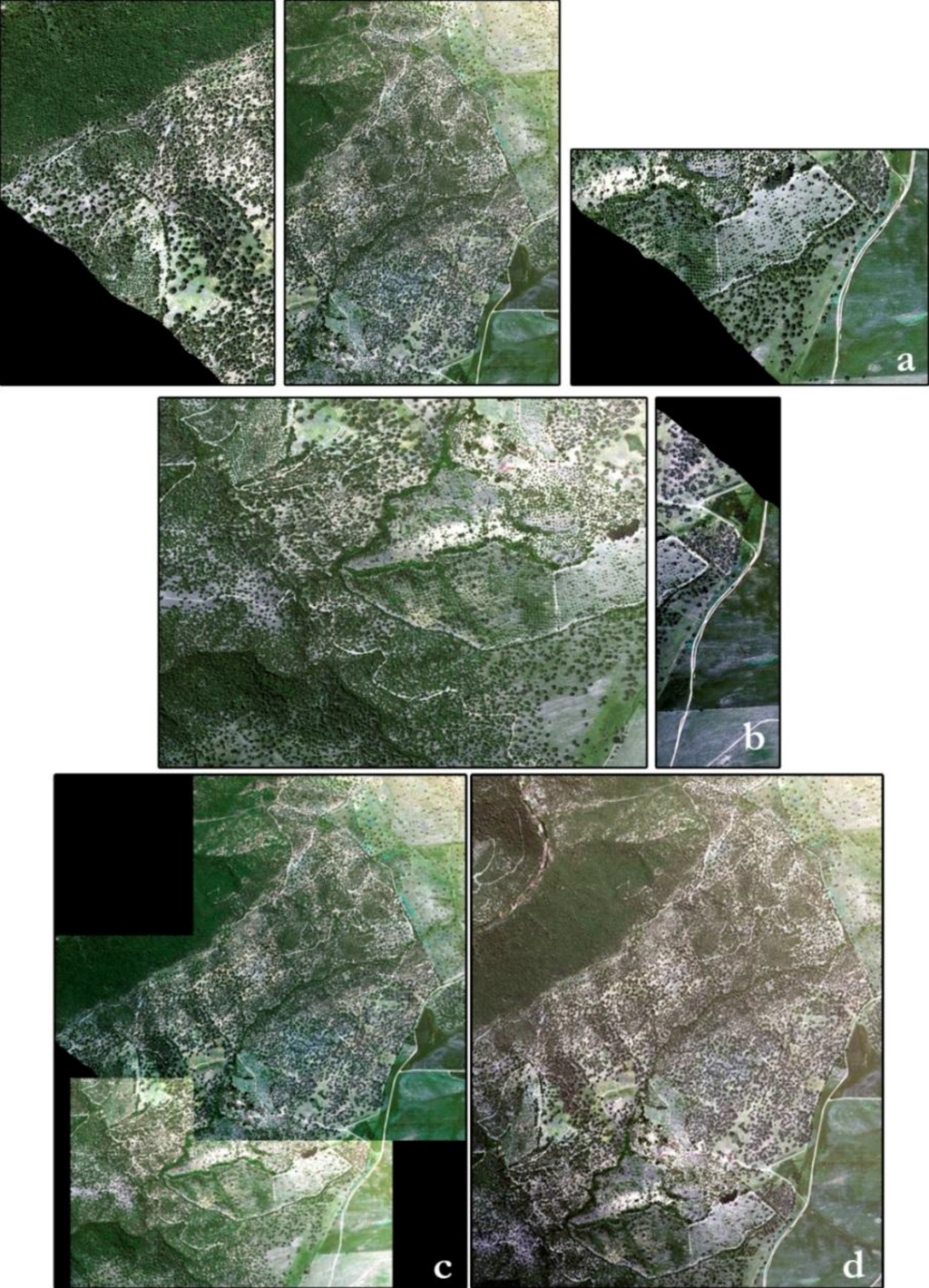 Forests 05 01304 g002 1024