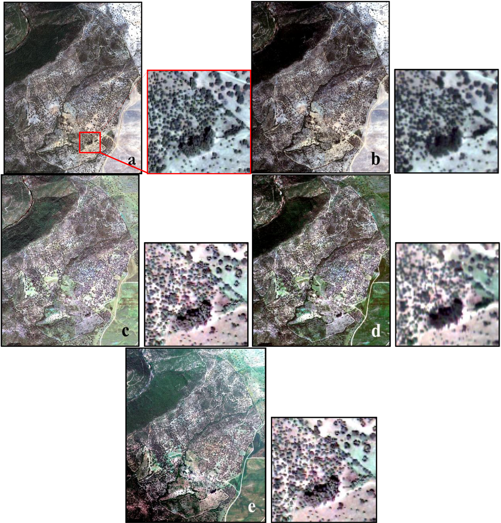 Forests 05 01304 g003 1024
