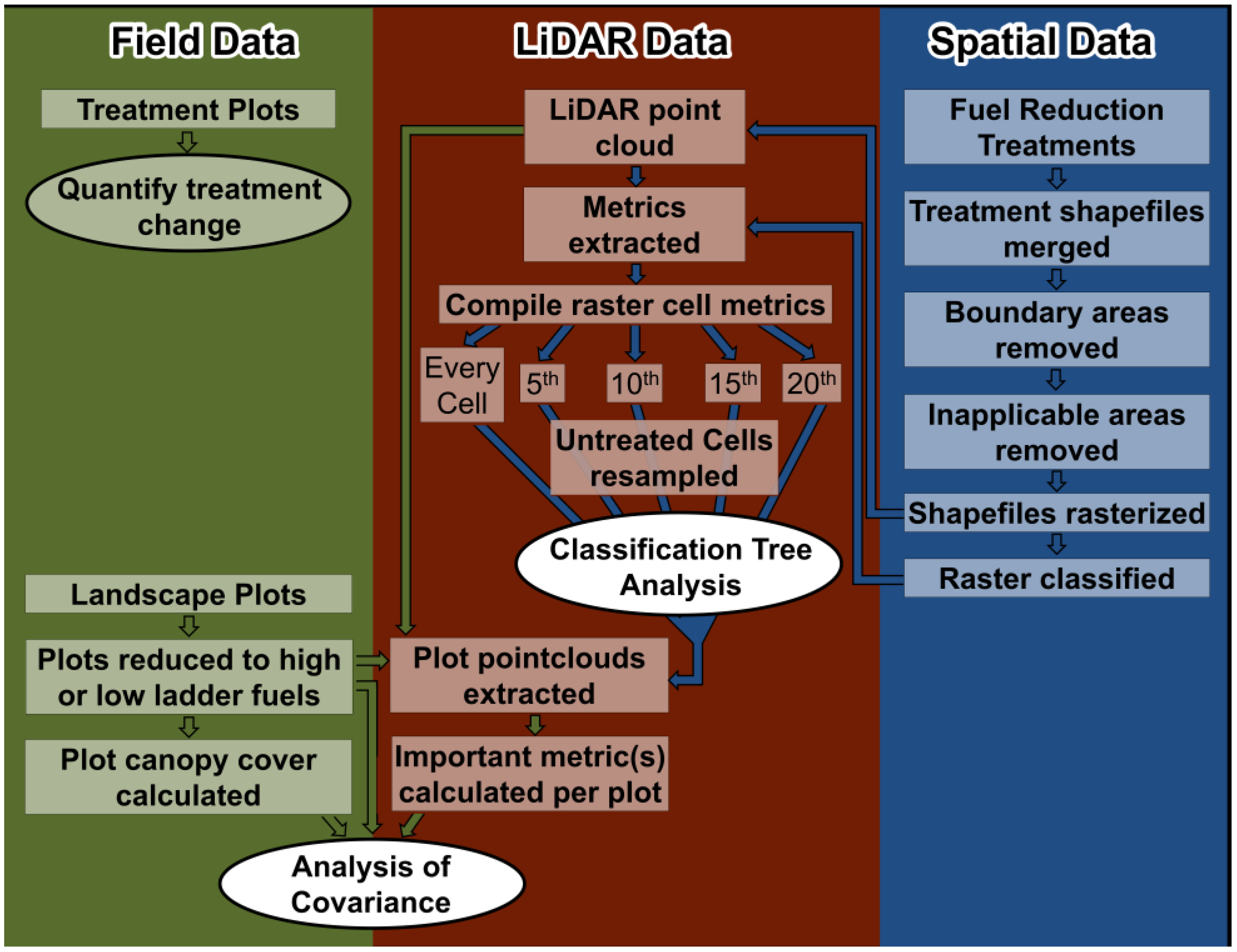 Forests Free FullText Quantifying Ladder Fuels A New Approach