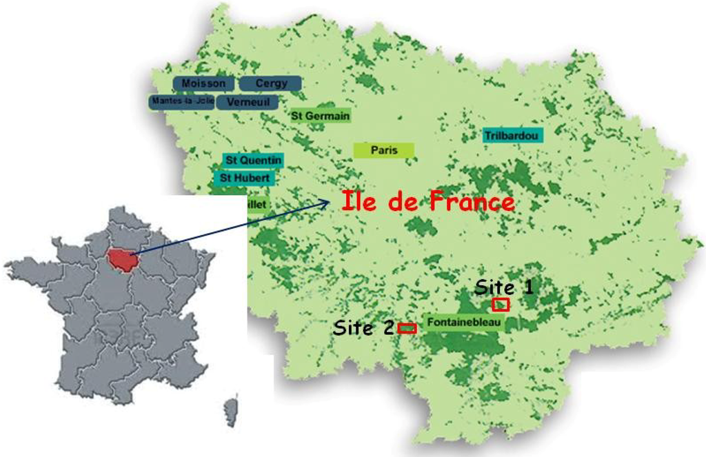 Forests 05 01454 g002 1024
