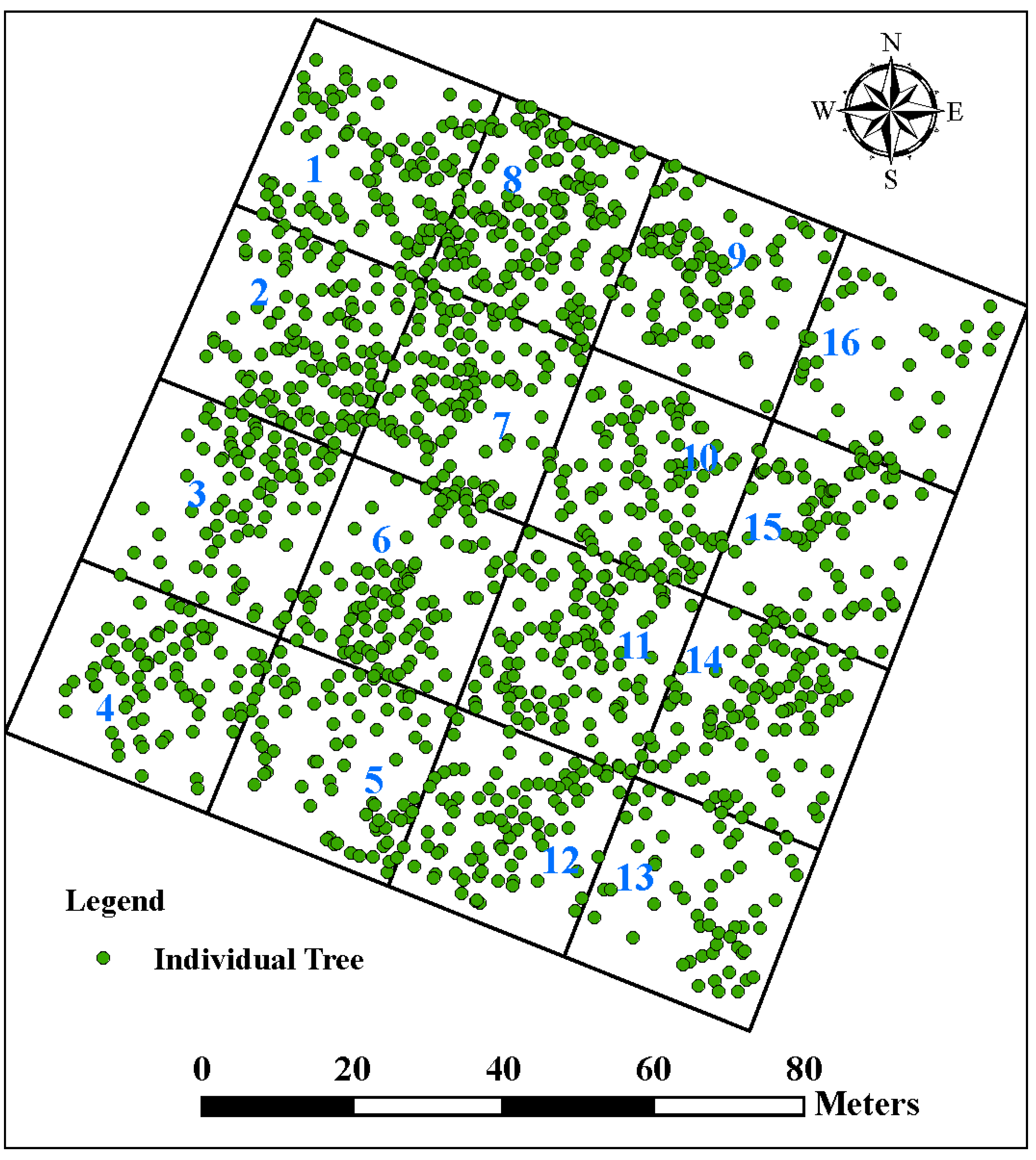 Forests 05 01910 g002