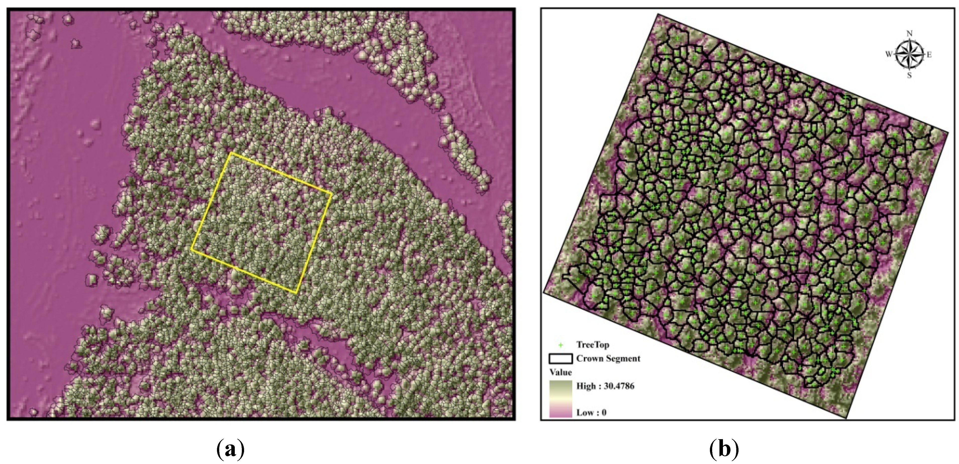 Forests 05 01910 g004