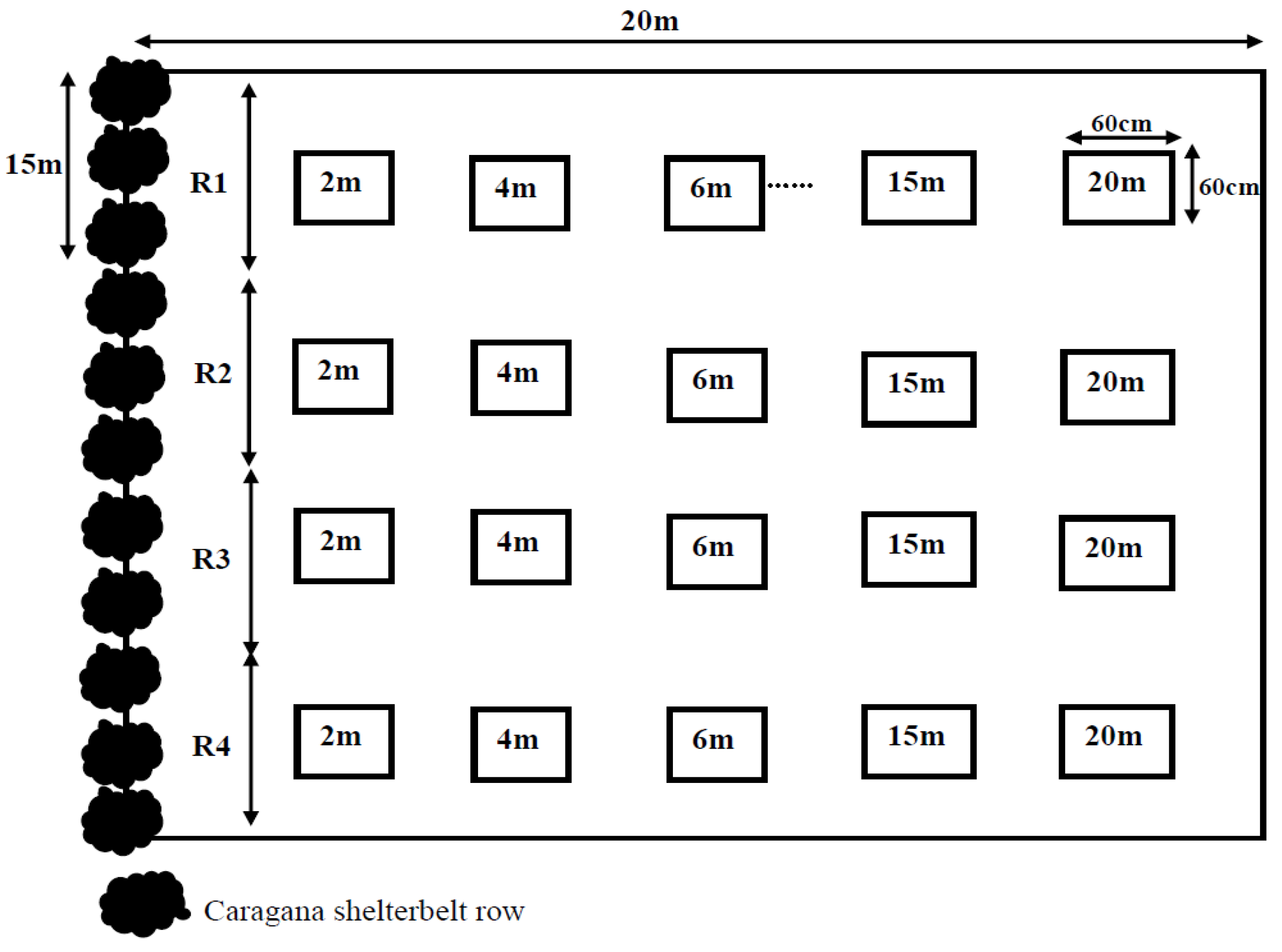 Forests 06 01922 g001
