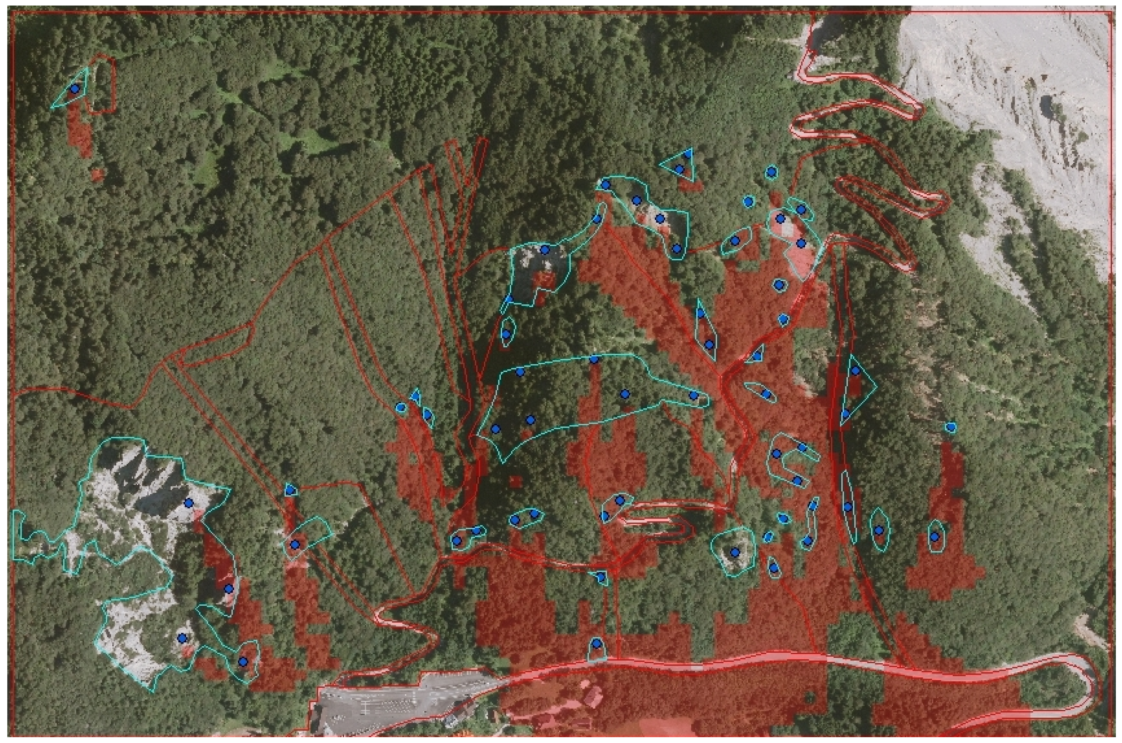Forests 06 02178 g007