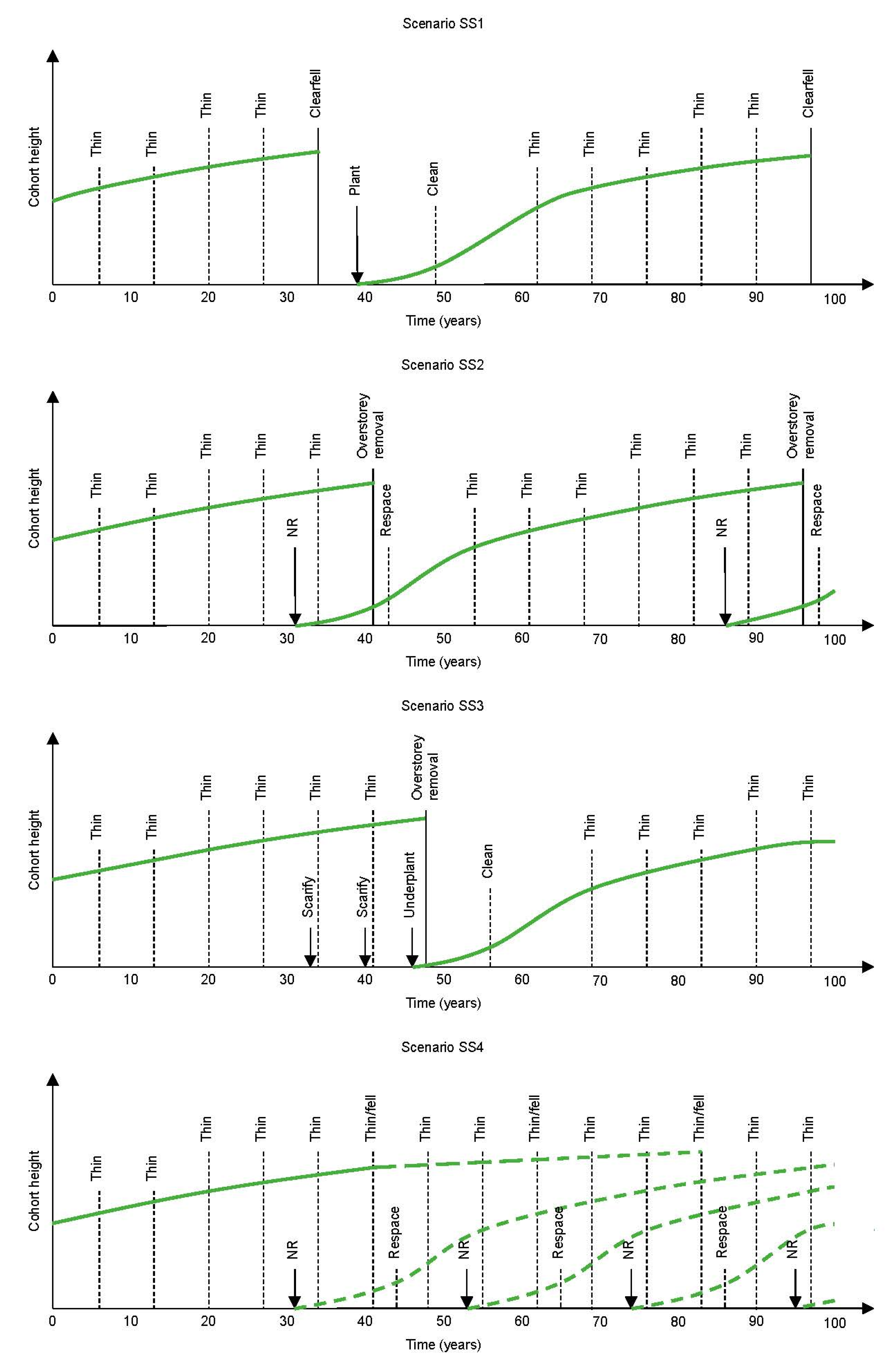 Forests 06 02424 g002