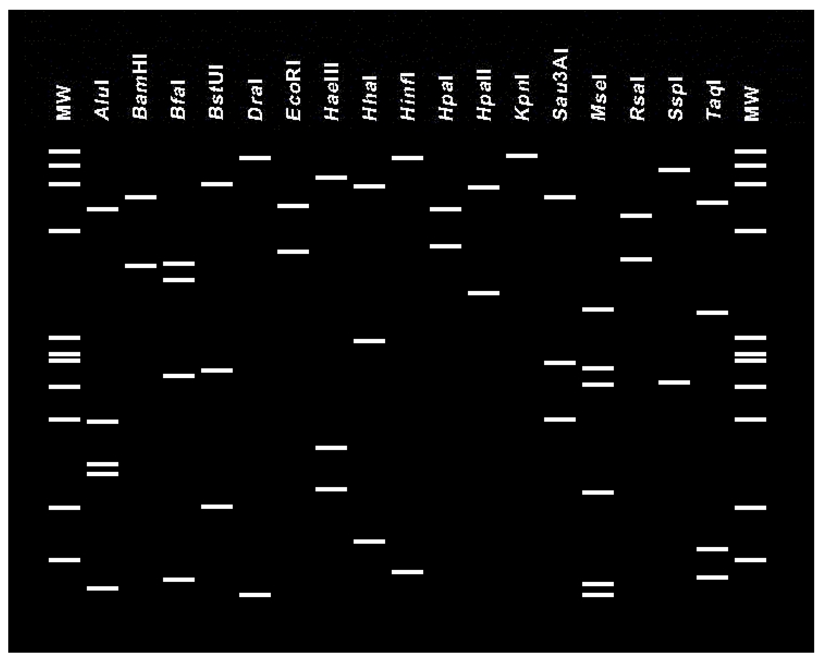 Forests 06 02469 g002
