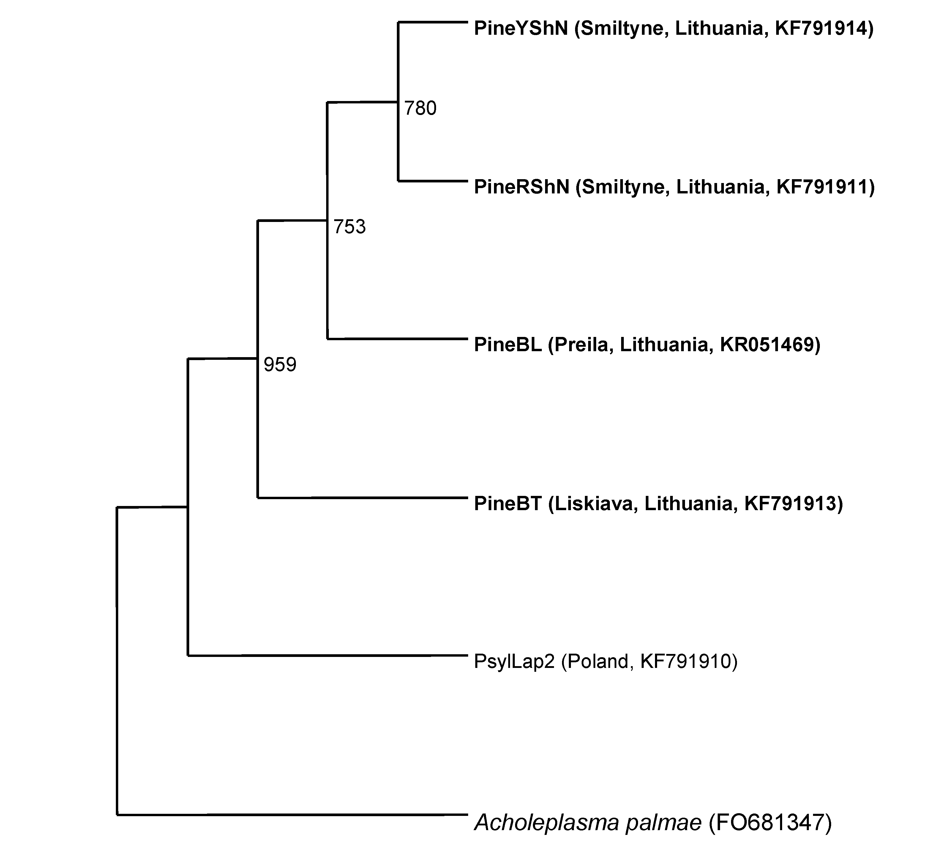 Forests 06 02469 g006