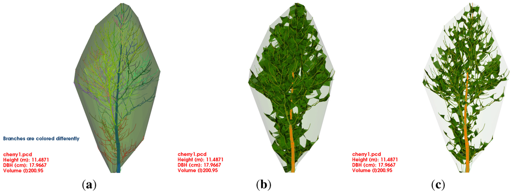 Forests 06 04245 g005 1024