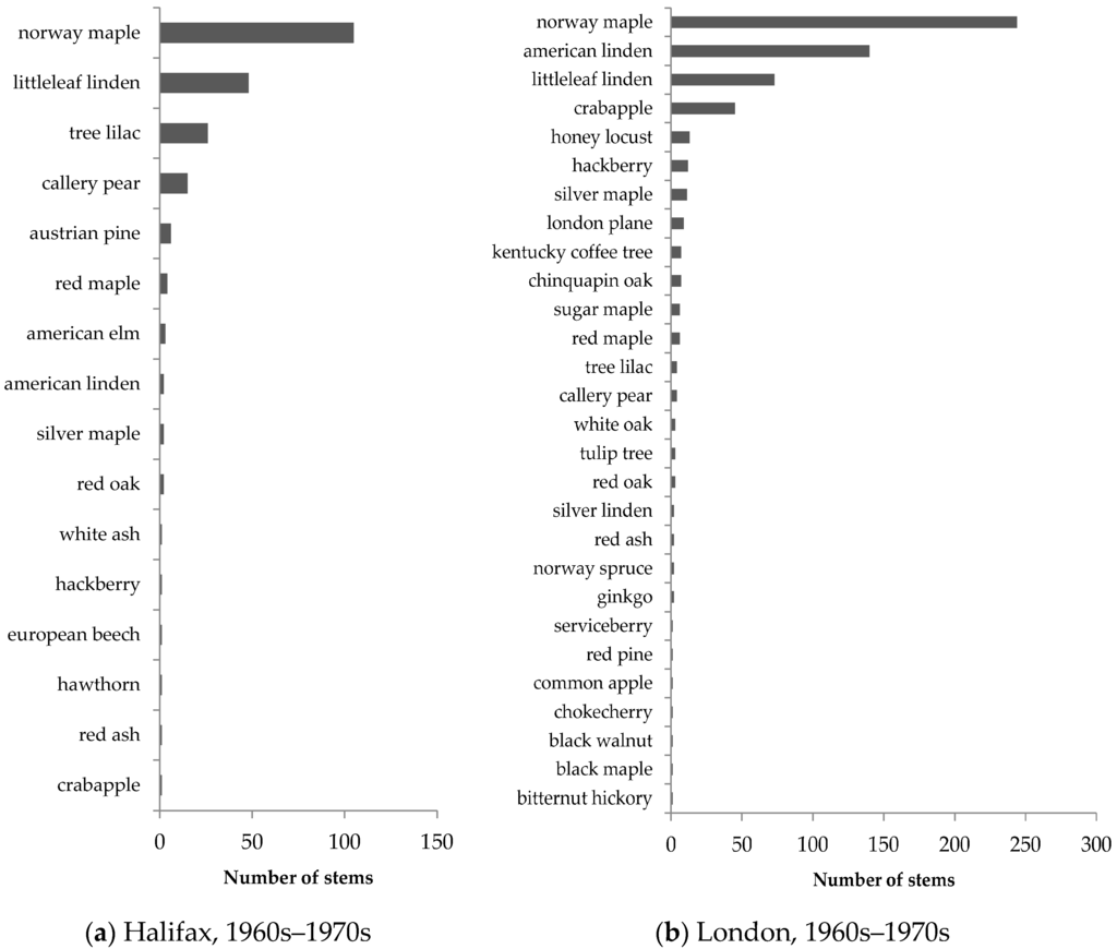 urbanizations impact on forest area in kelantan environmental sciences essay The nature and culture of rattan explores this valuable forest product, the tropical forests on which it depends, and the societies that flourish by using and managing these remarkable plants the book provides a distinctive and engaging review of rattan and the people whose lives are centered on it. urbanizations impact on forest area in kelantan environmental sciences essay The nature and culture of rattan explores this valuable forest product, the tropical forests on which it depends, and the societies that flourish by using and managing these remarkable plants the book provides a distinctive and engaging review of rattan and the people whose lives are centered on it.