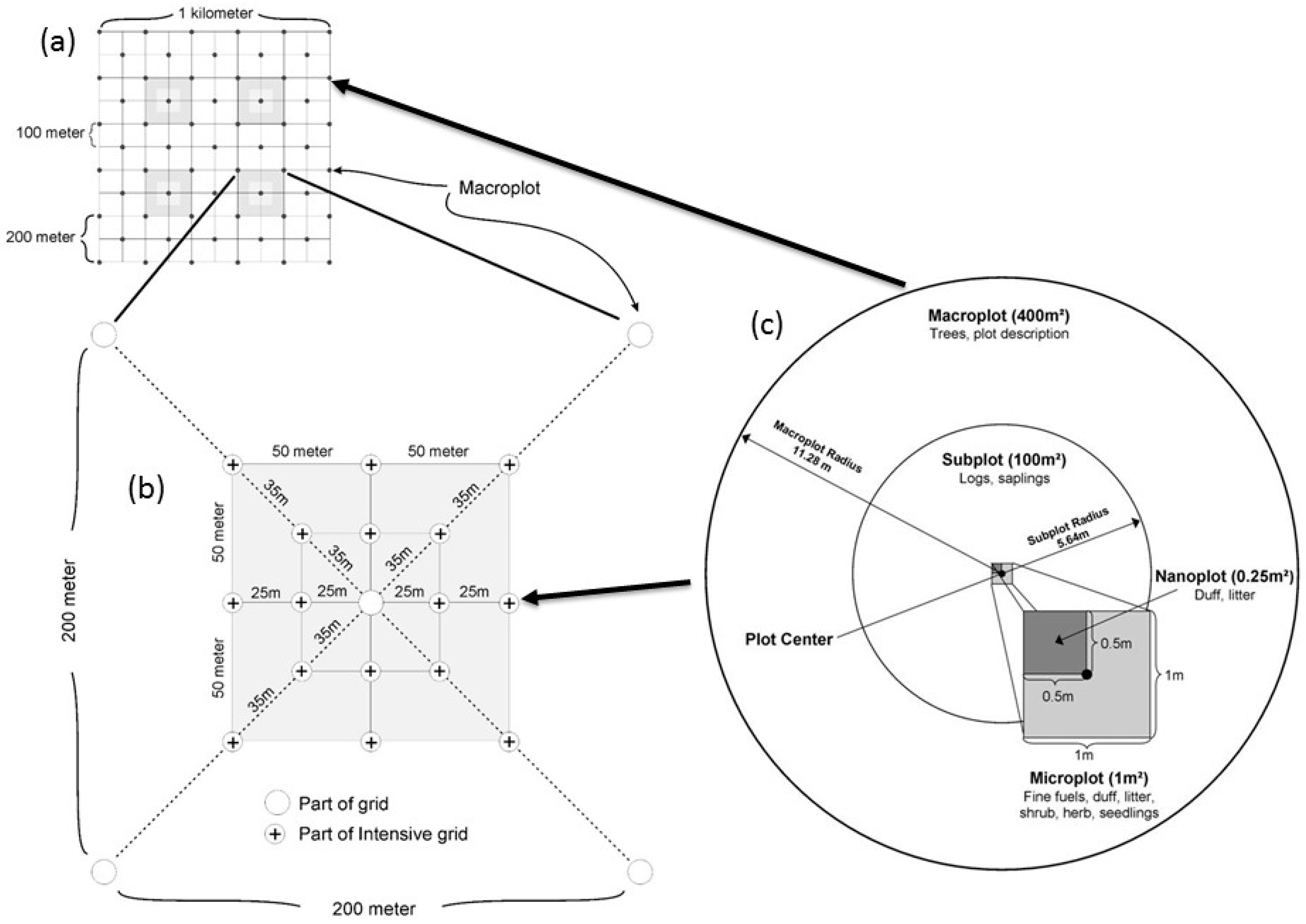 Forests 07 00129 g002