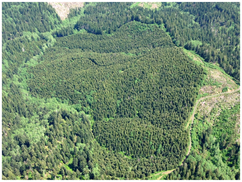 Forests 07 00155 g003 1024