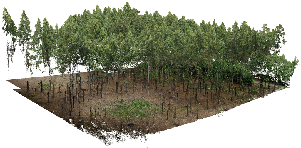 Forests Free FullText Forest Stand Inventory Based on Combined