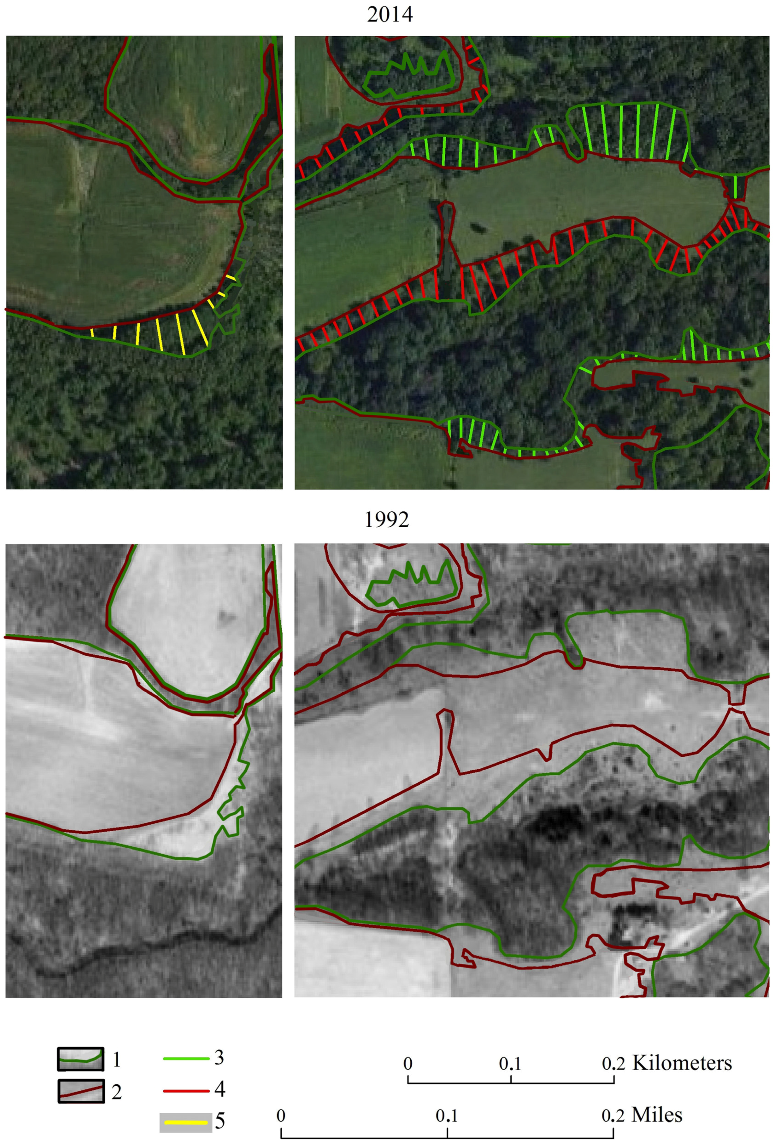 Forests 07 00278 g005