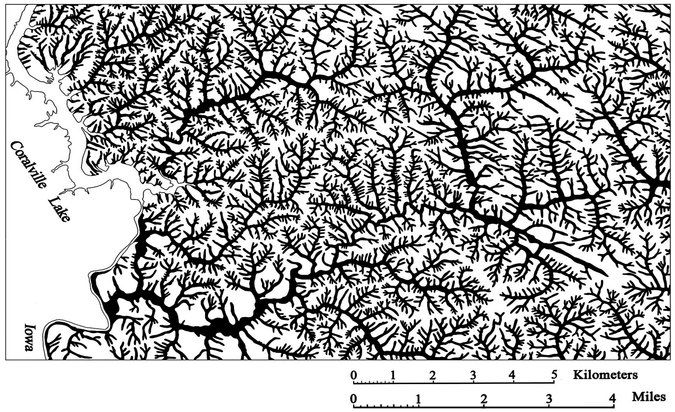 Forests 07 00278 g012