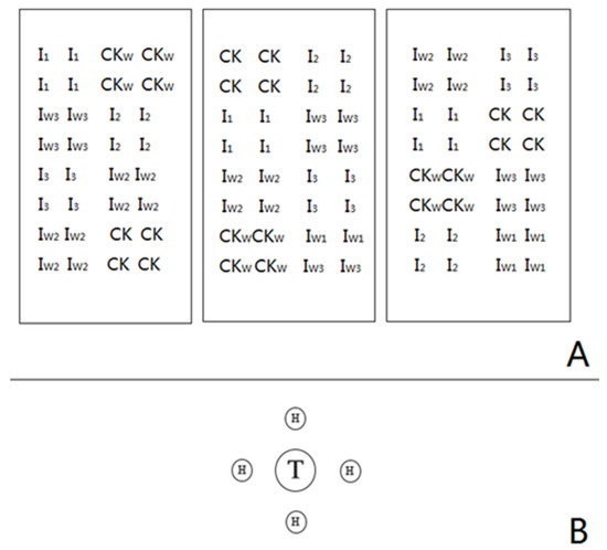 catalase research papers catalase research papers