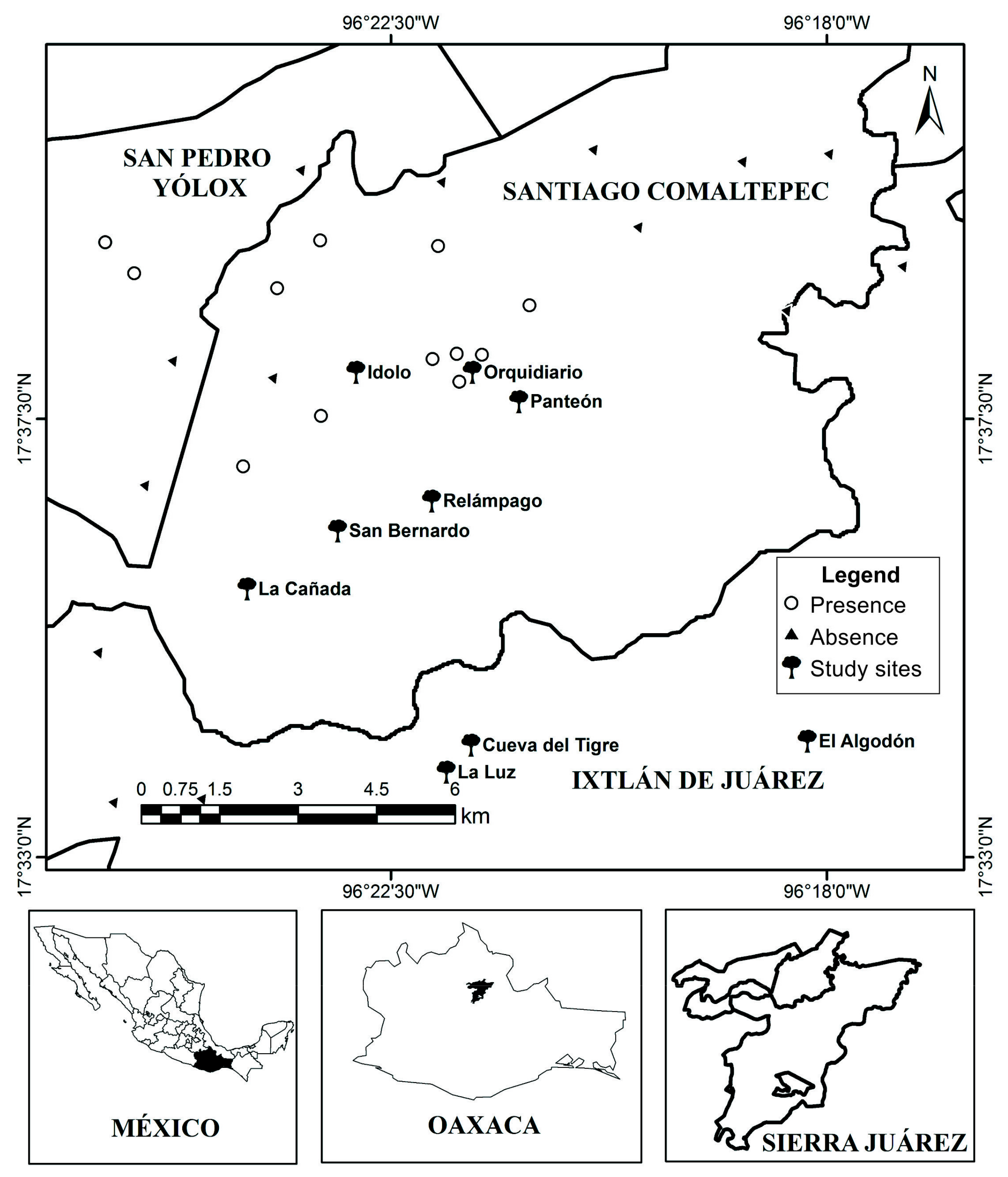 Forests 08 00261 g002