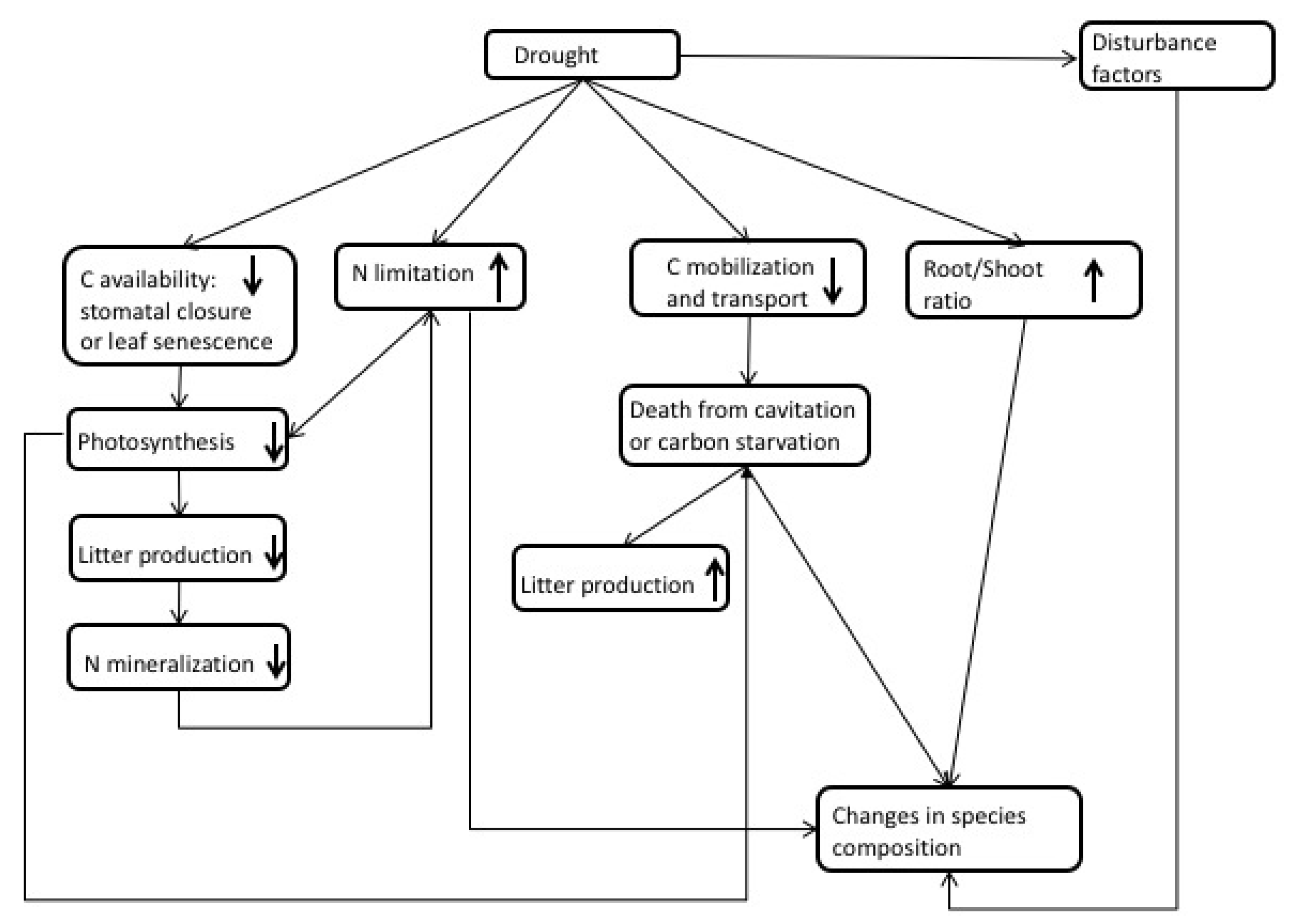 online Learning-Based Local Visual Representation and