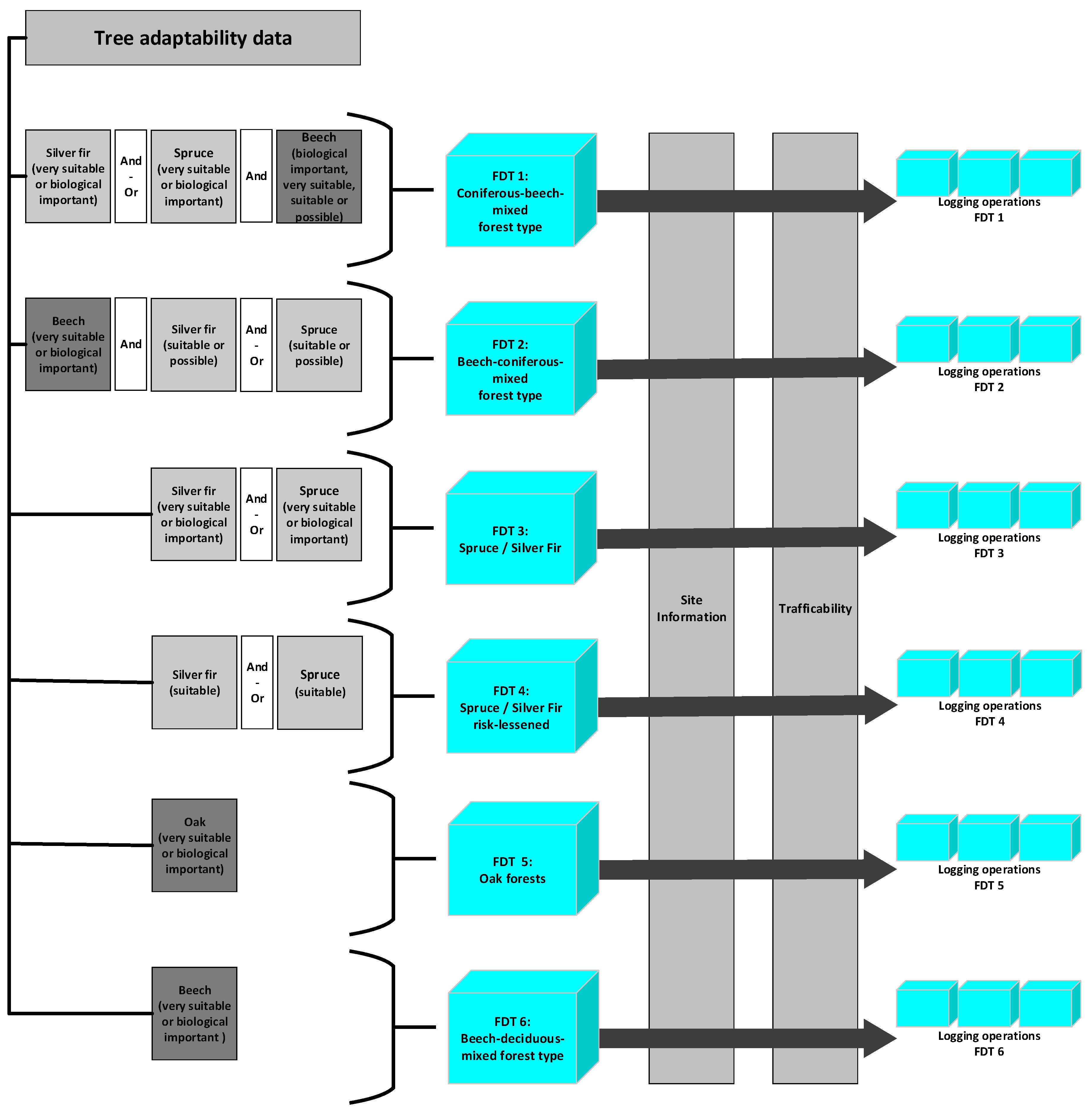 Biological perspective essays