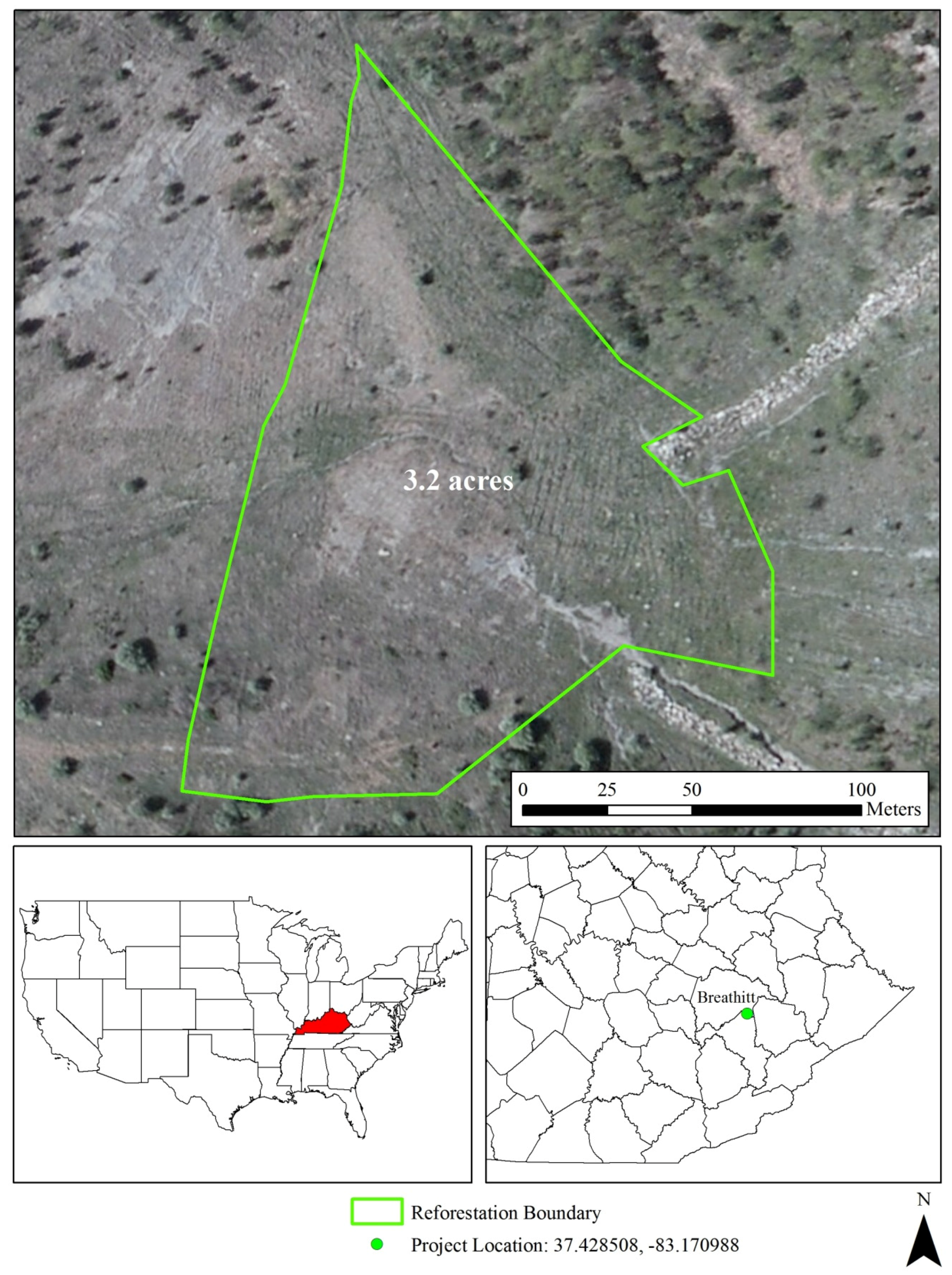 Forests 08 00375 g001