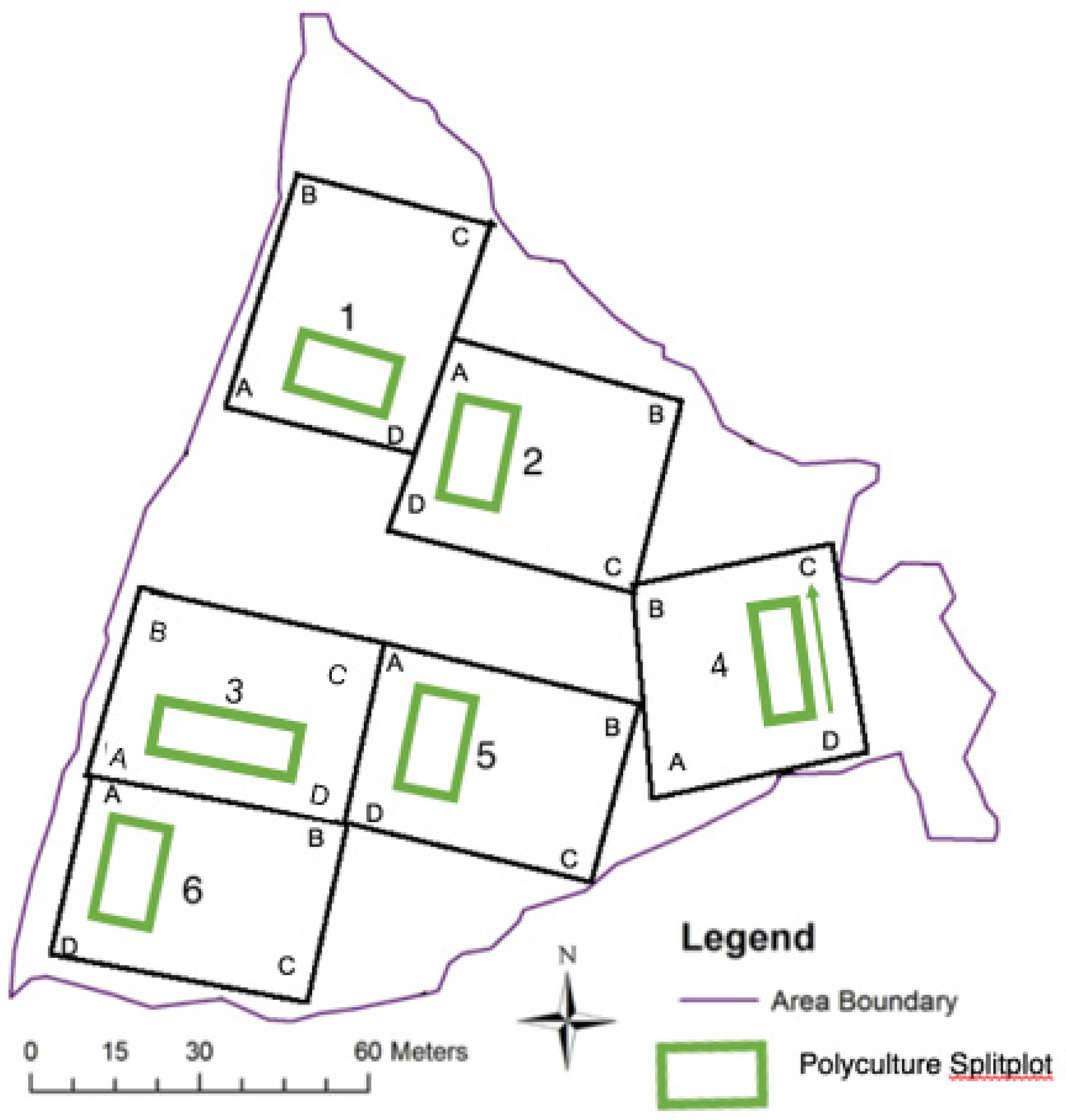 Forests 08 00375 g002