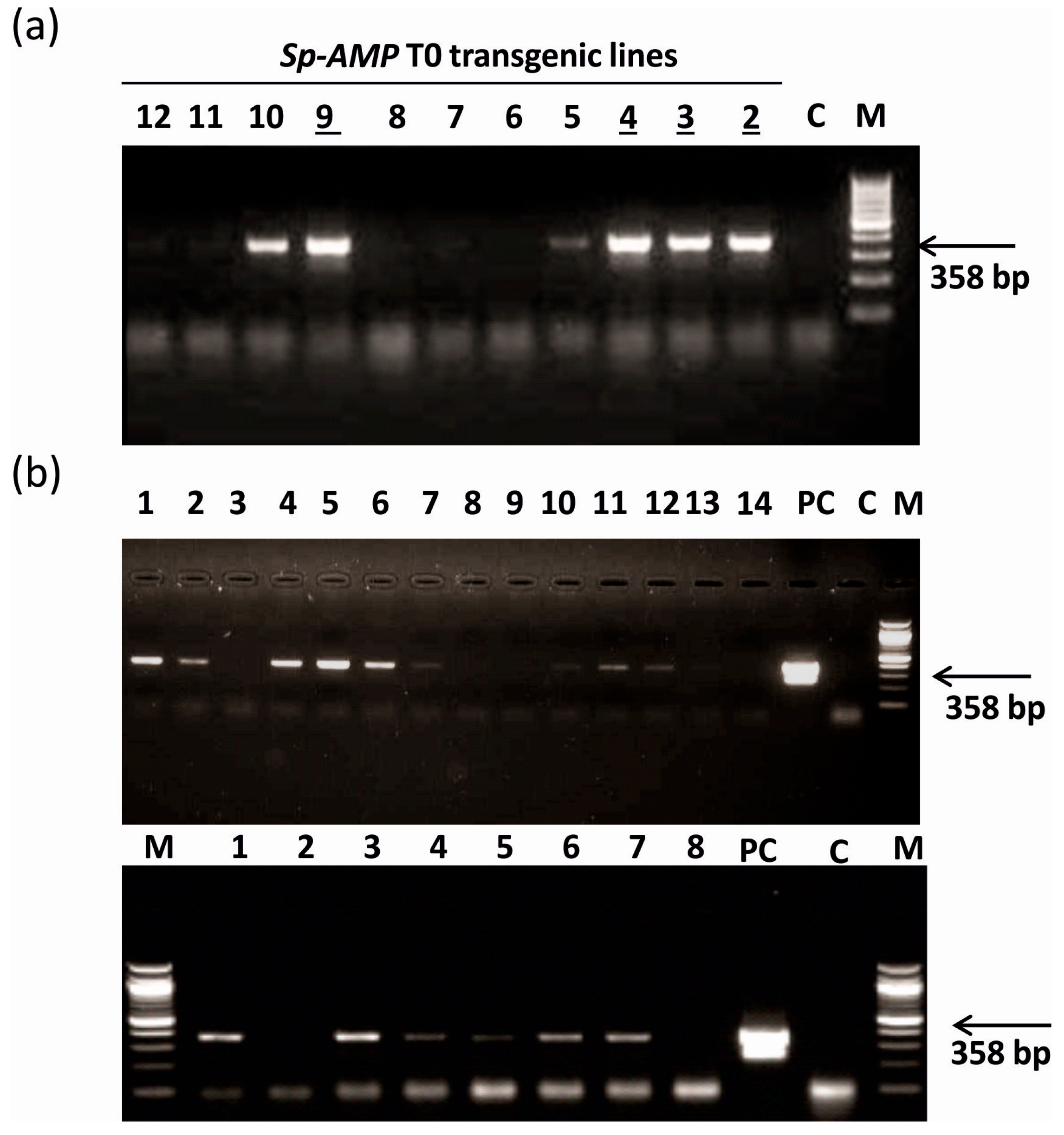 Forests 09 00010 g002