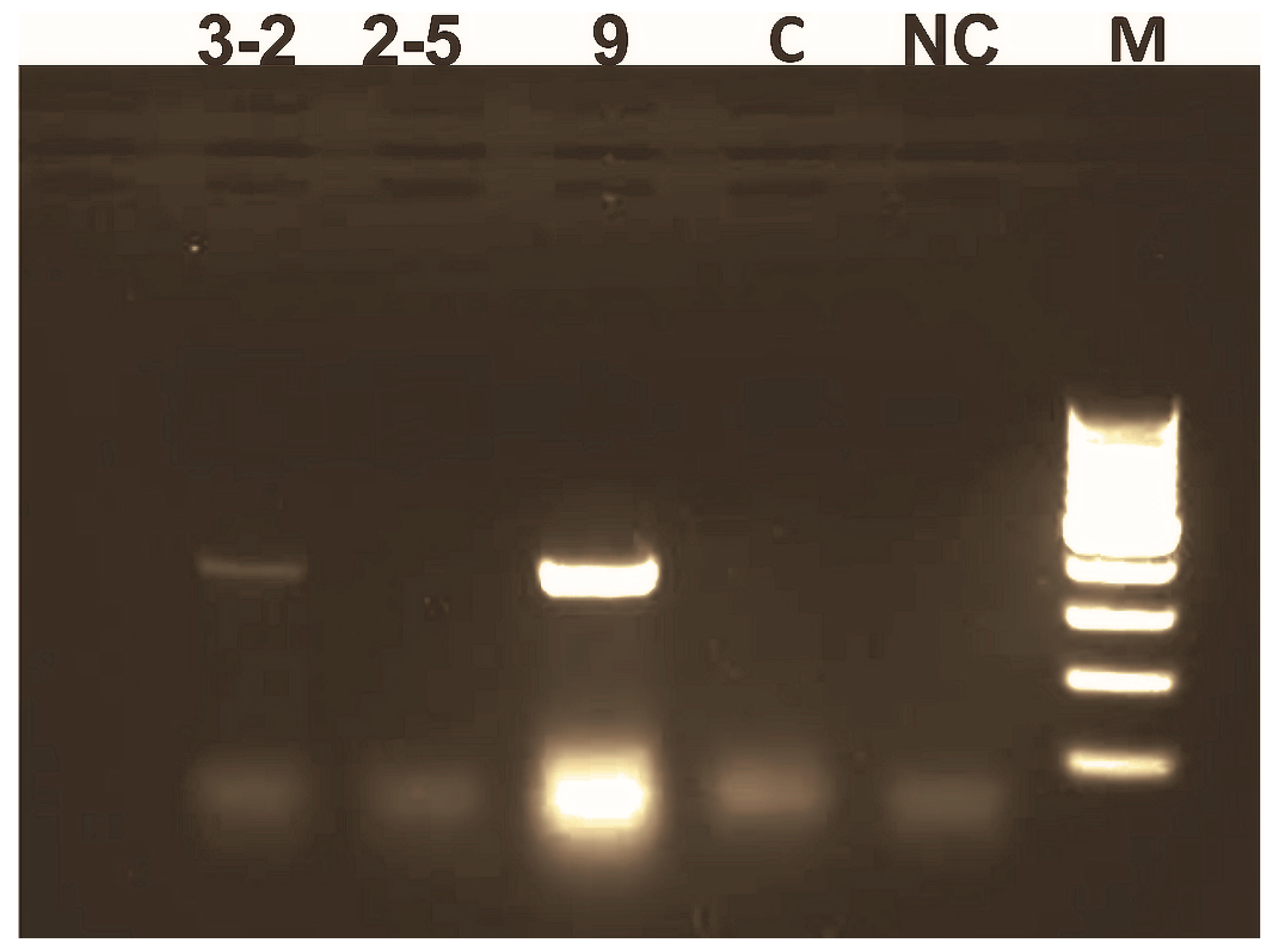 Forests 09 00010 g003