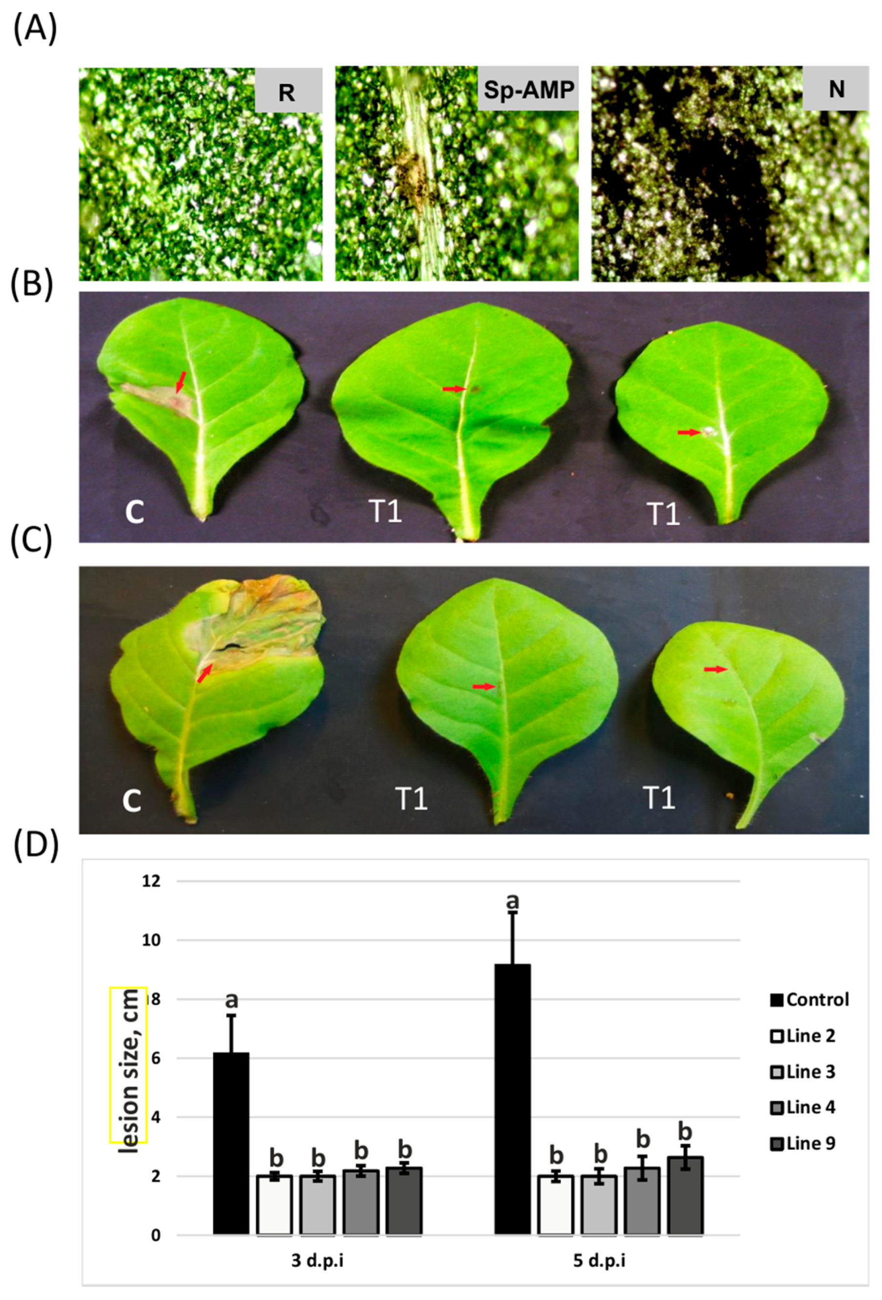 Forests 09 00010 g004
