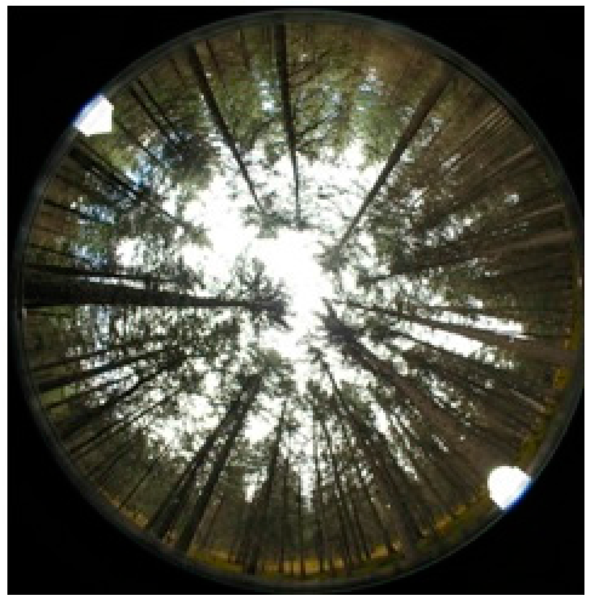 Forests 09 00144 g003