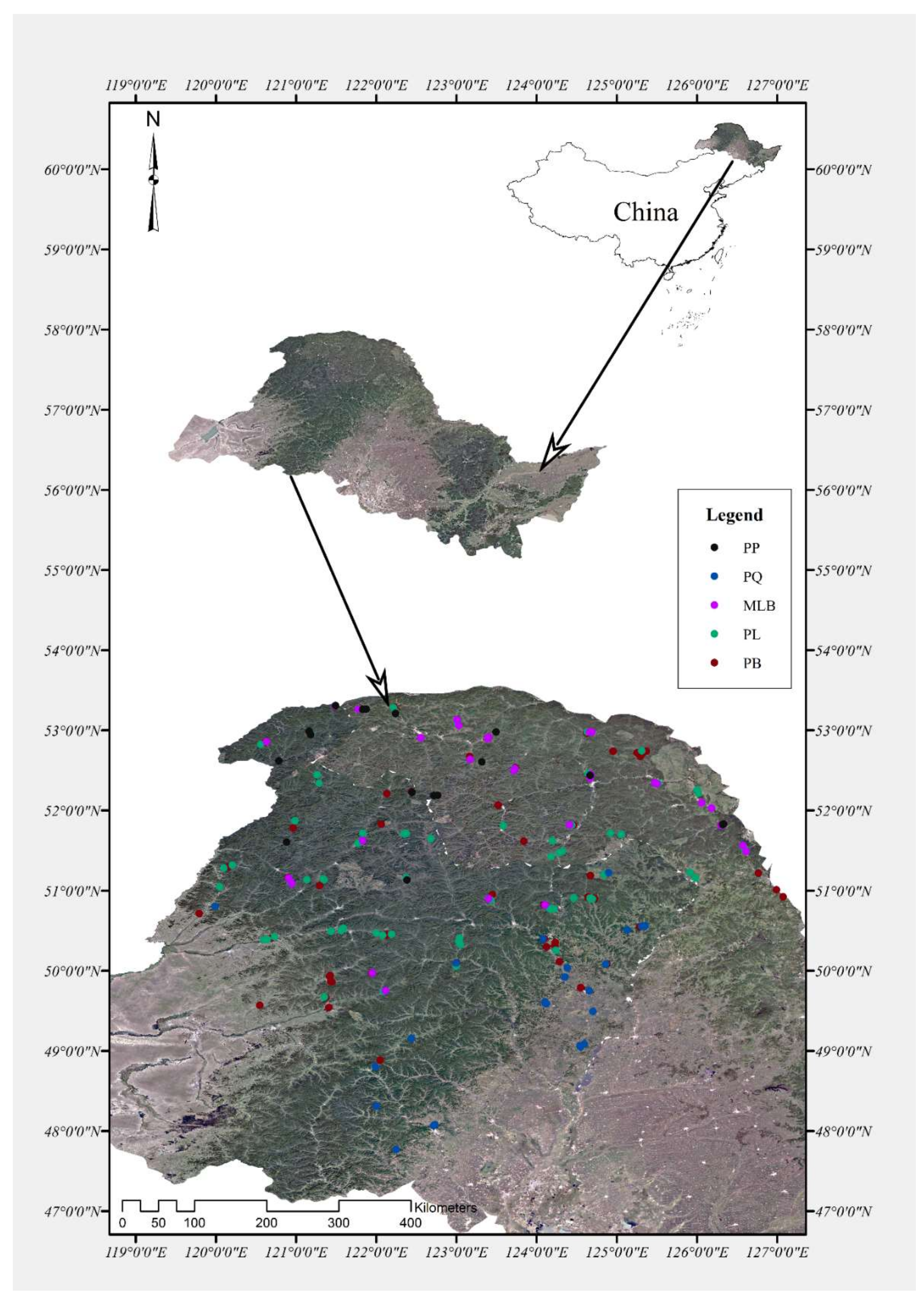 Forests 09 00177 g001