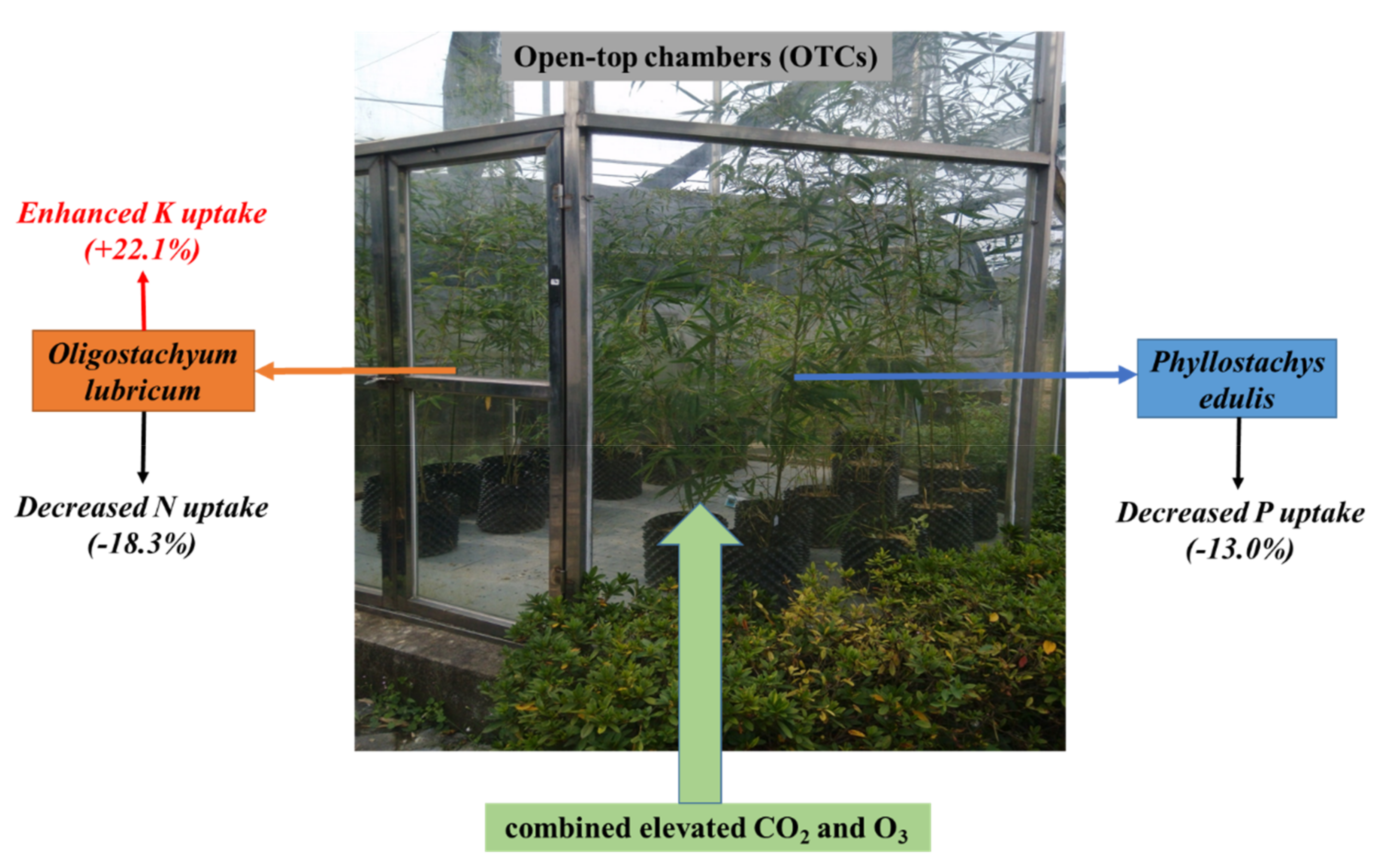 Forests 09 00195 g002