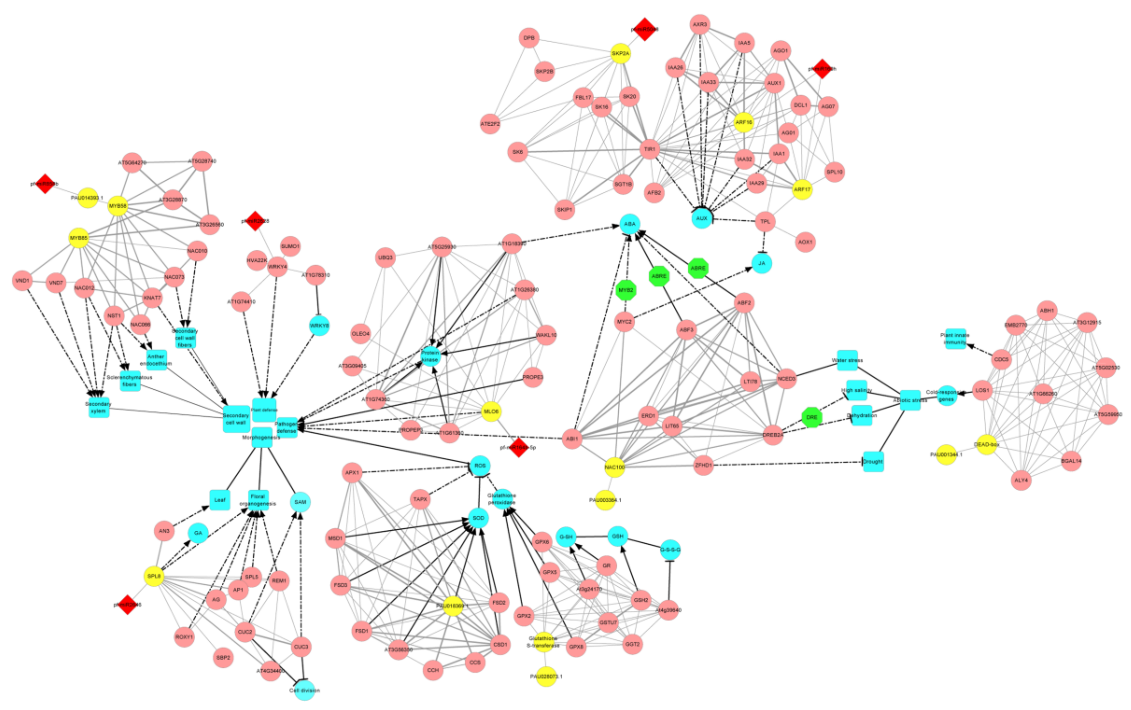 Forests 09 00397 g007