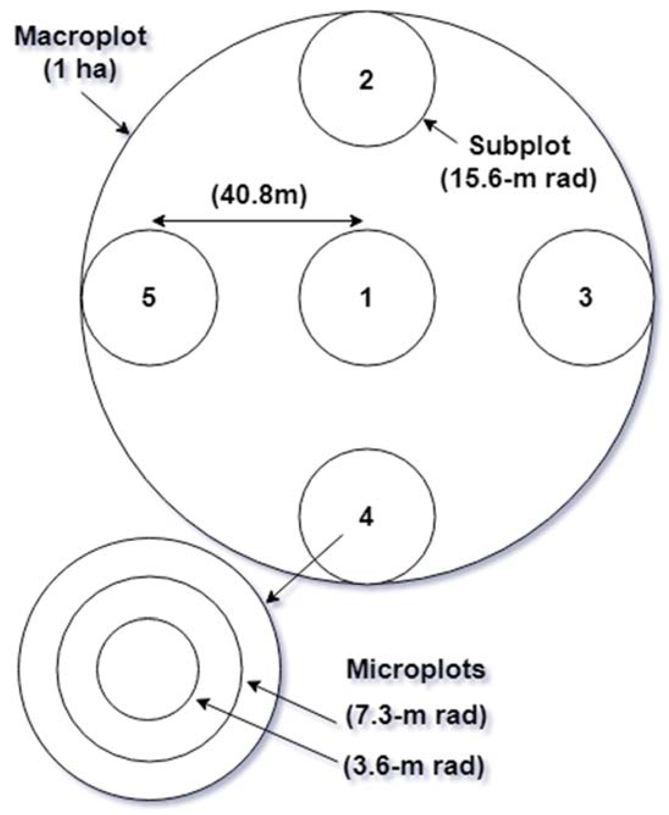 Forests 09 00566 g002