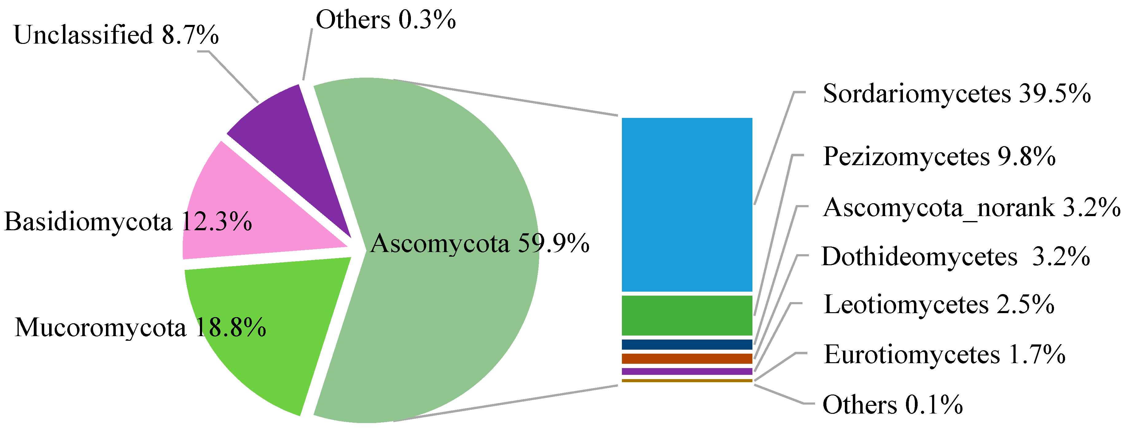 Forests 10 00167 g001