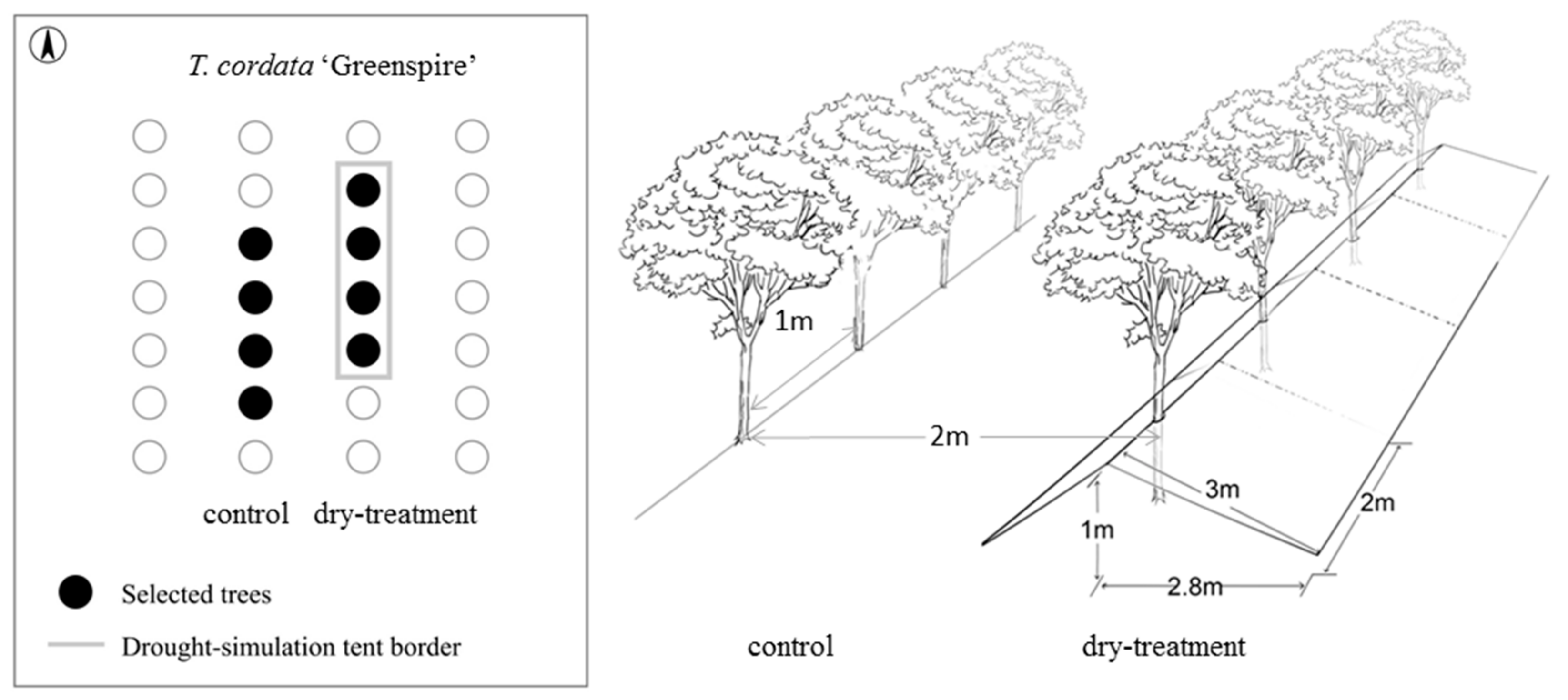 Forests 10 00676 g001