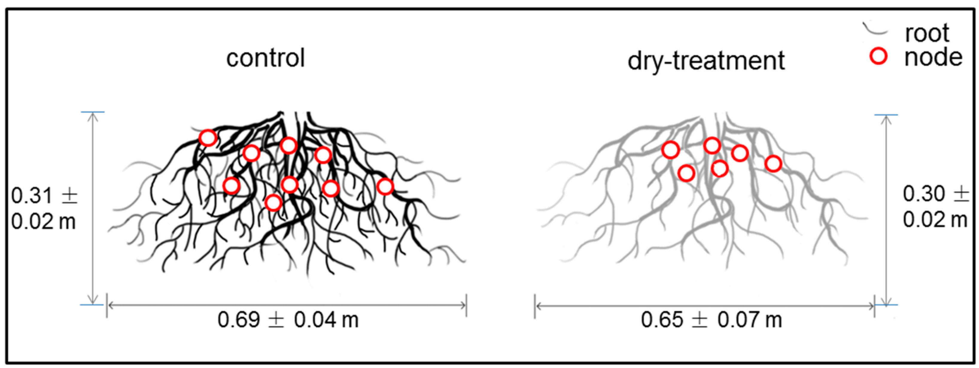 Forests 10 00676 g005