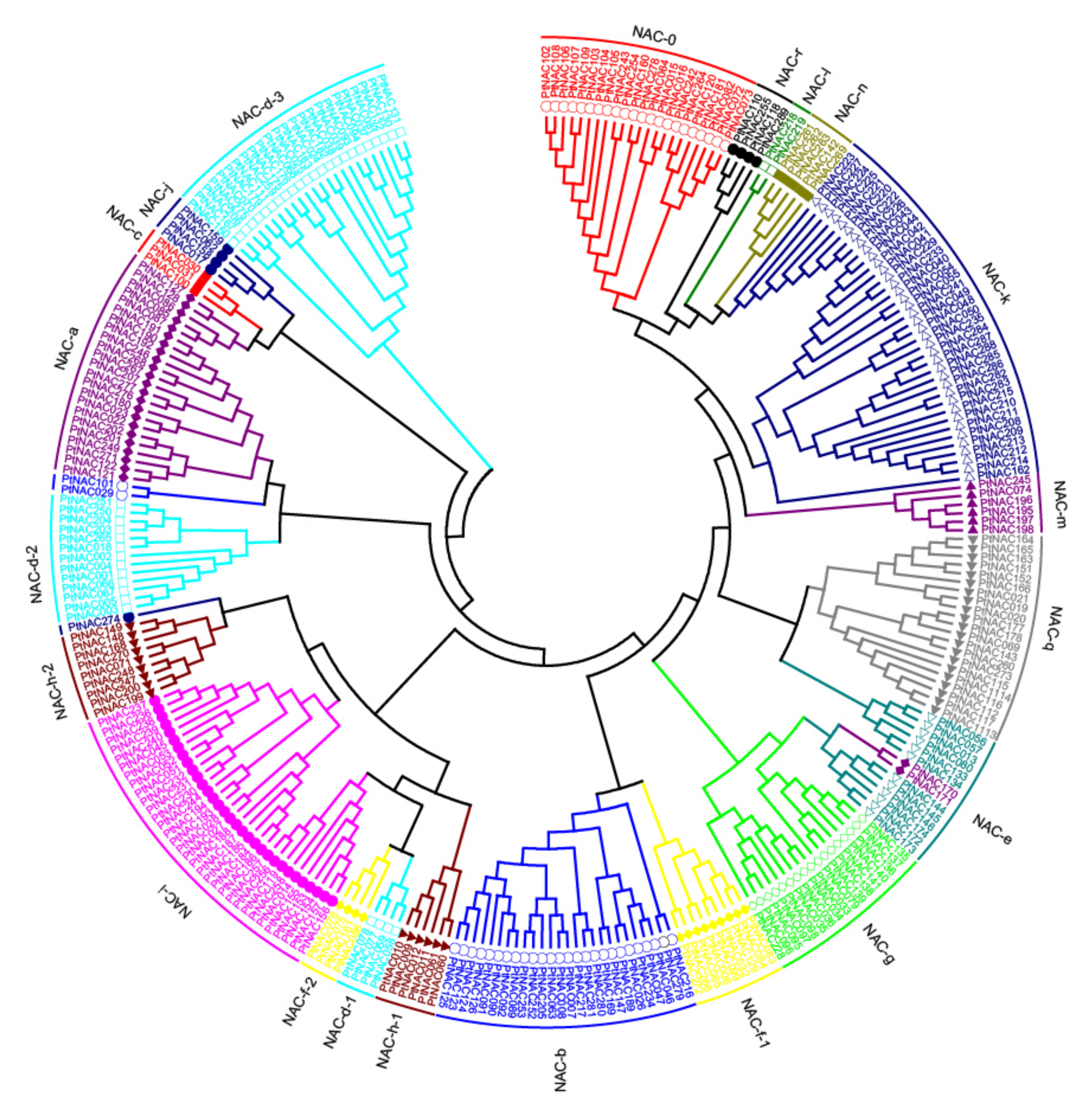 Forests 10 00688 g001