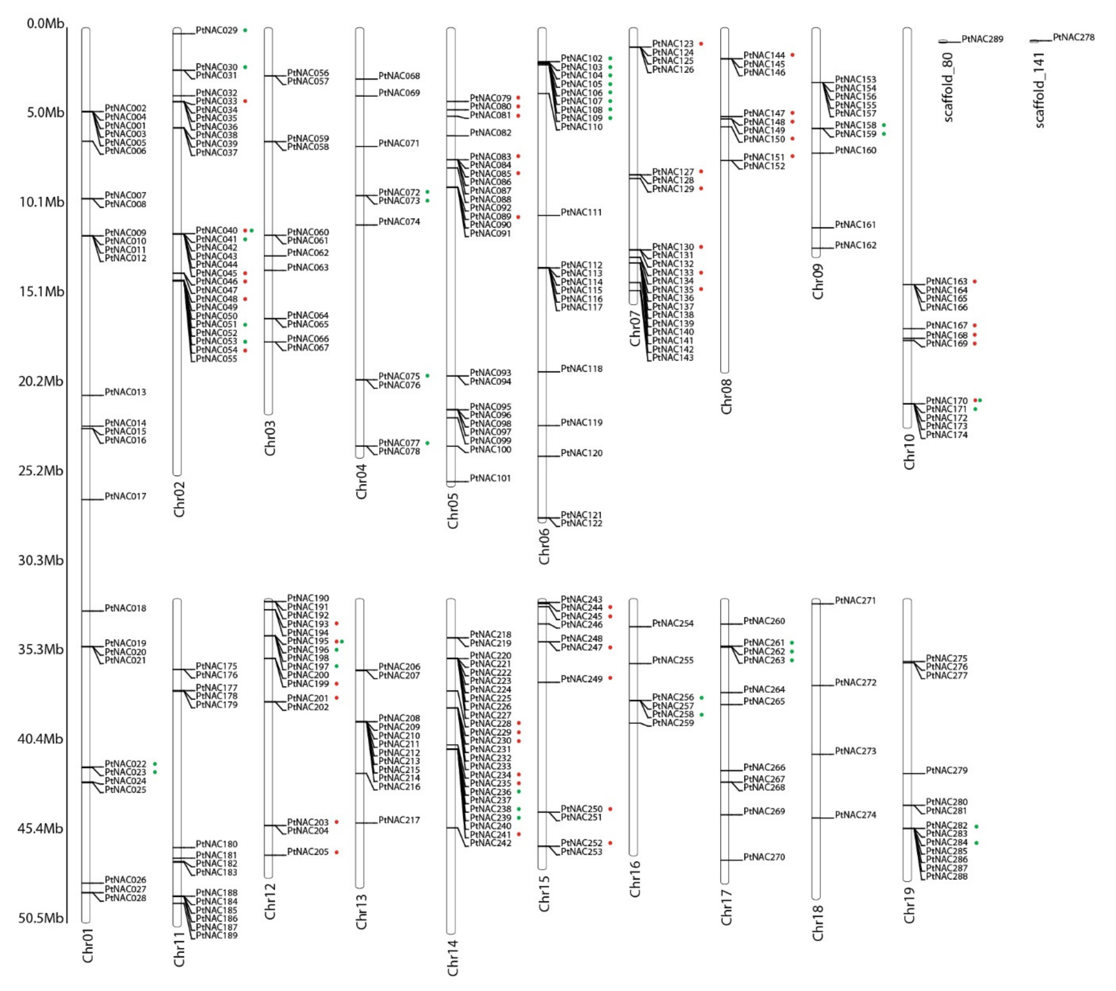 Forests 10 00688 g002
