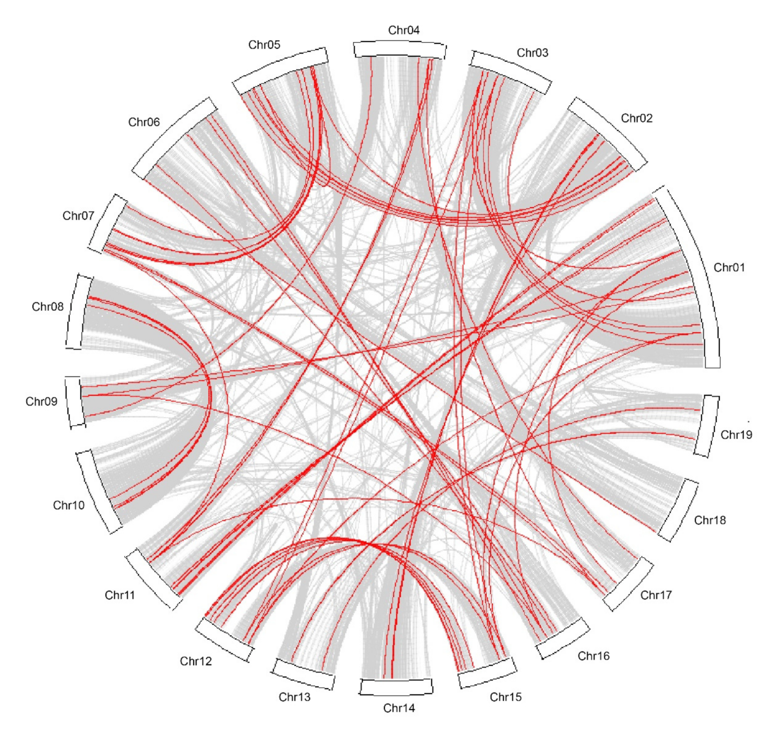 Forests 10 00688 g003