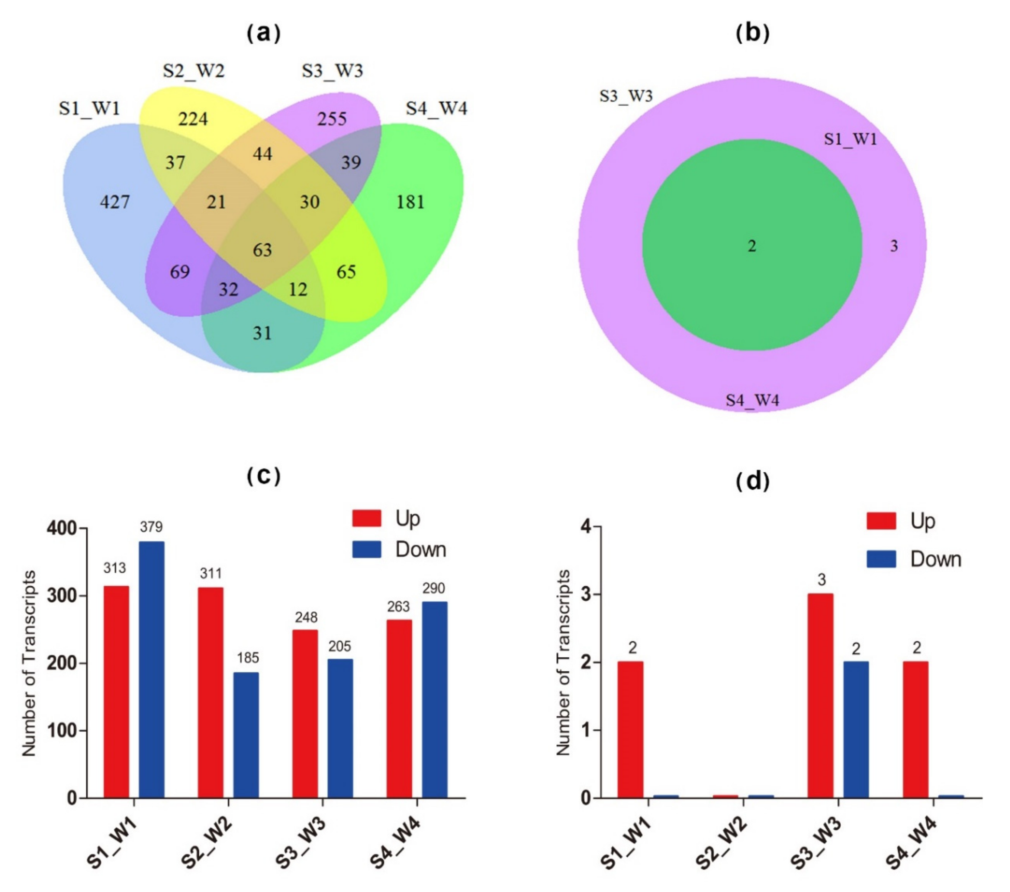 Forests 10 00688 g006